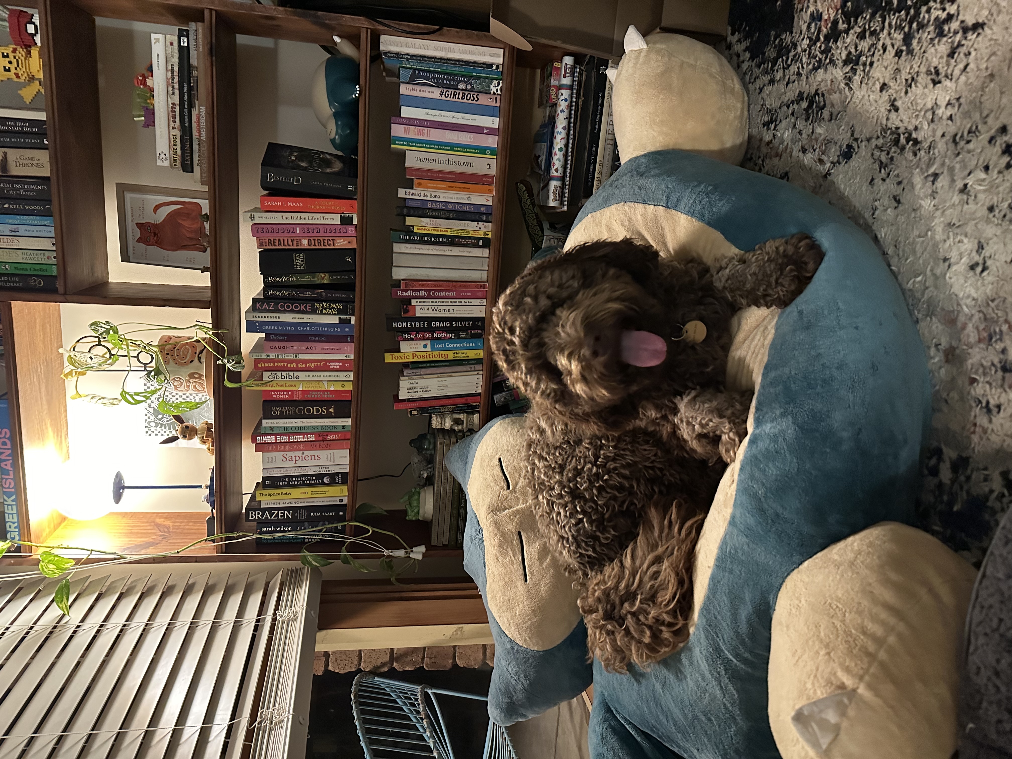 image-15