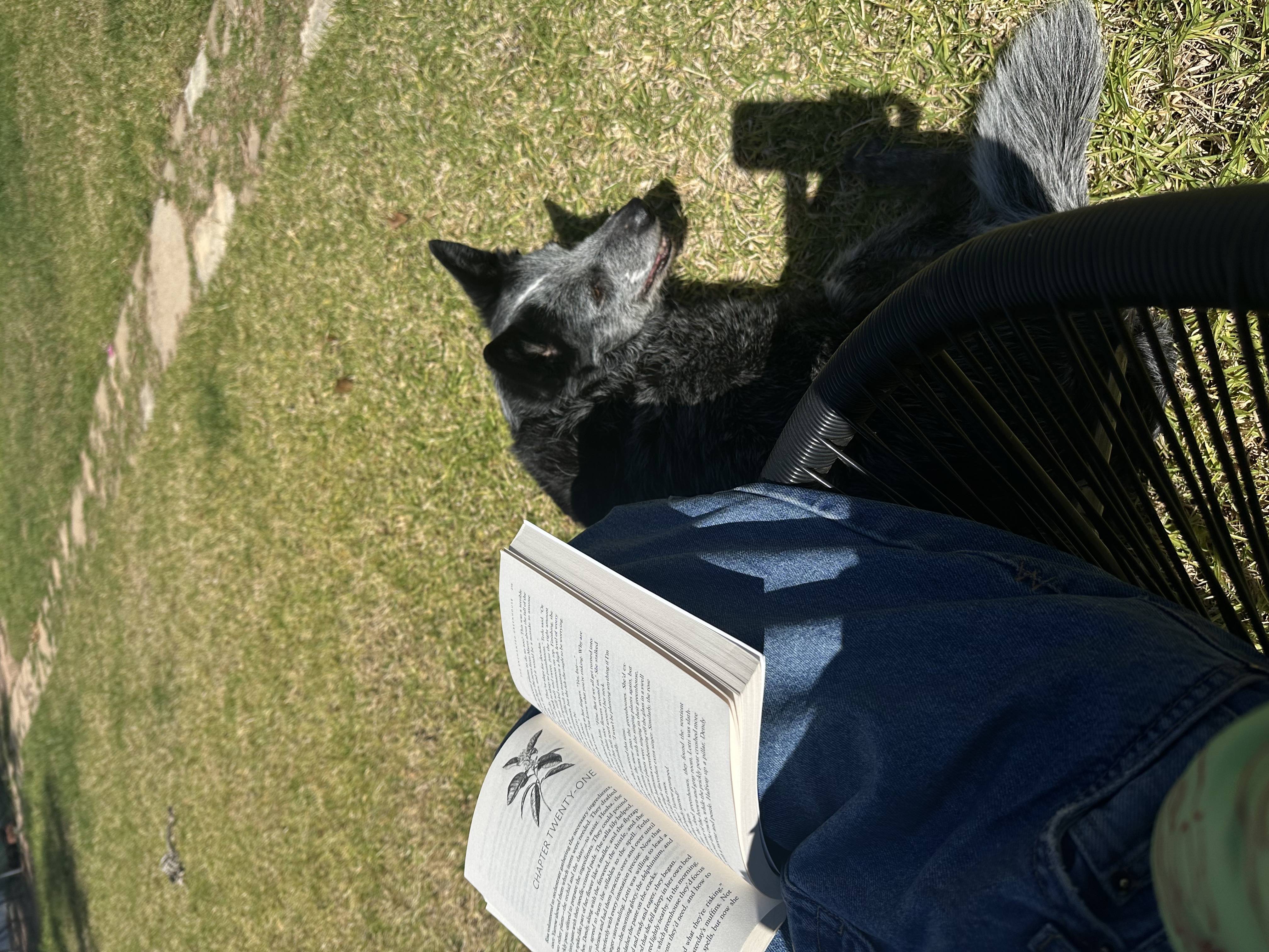 image-7