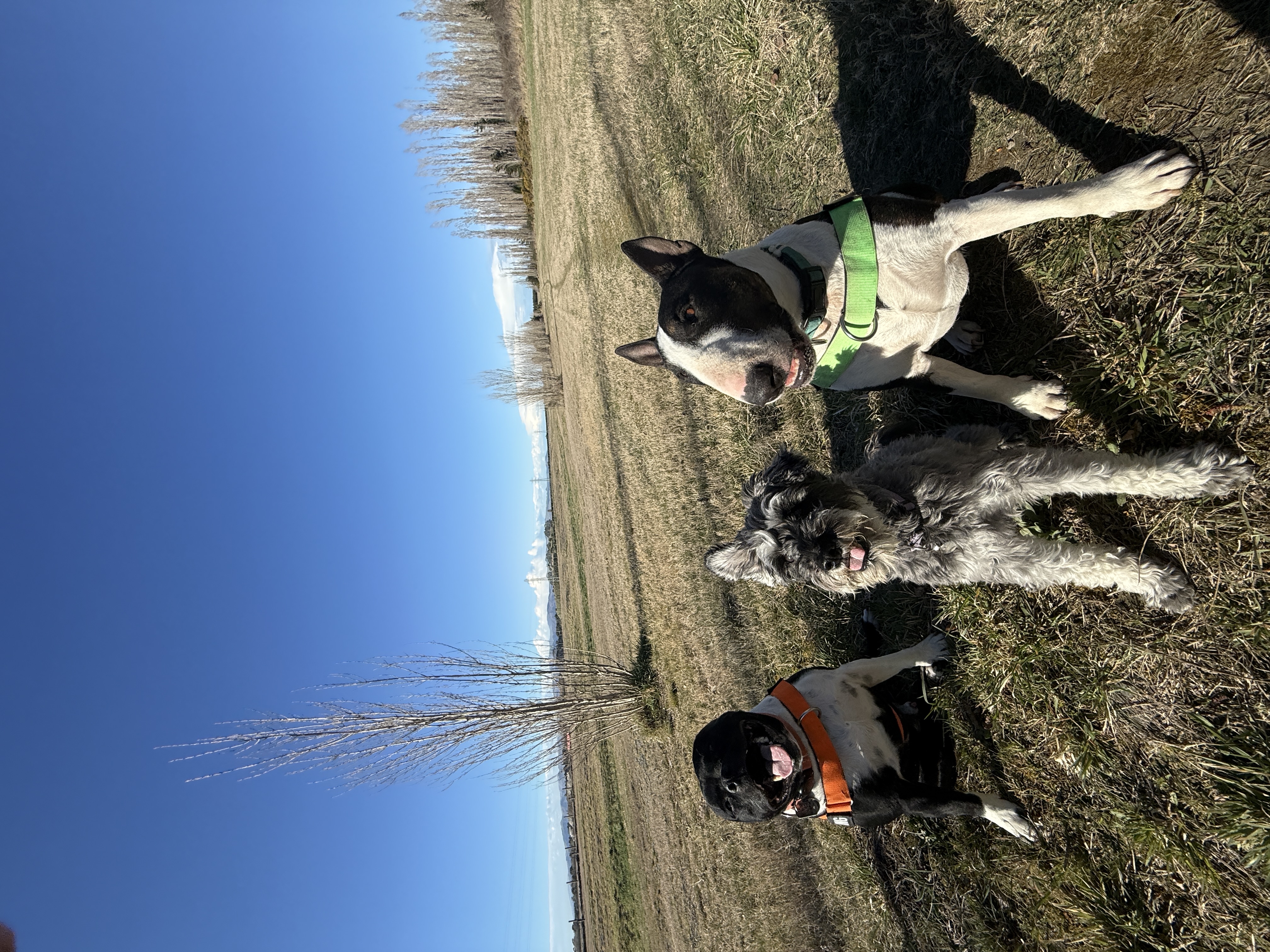 image-35