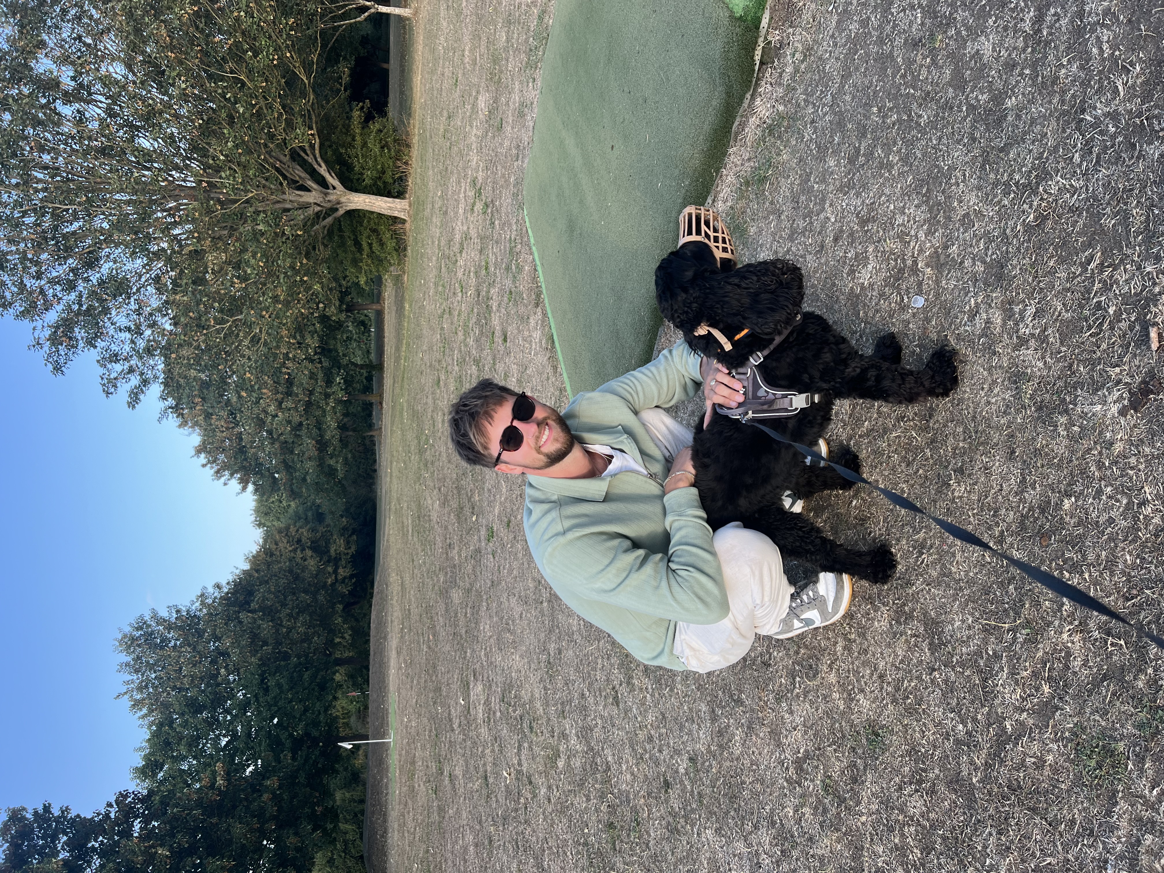 image-8