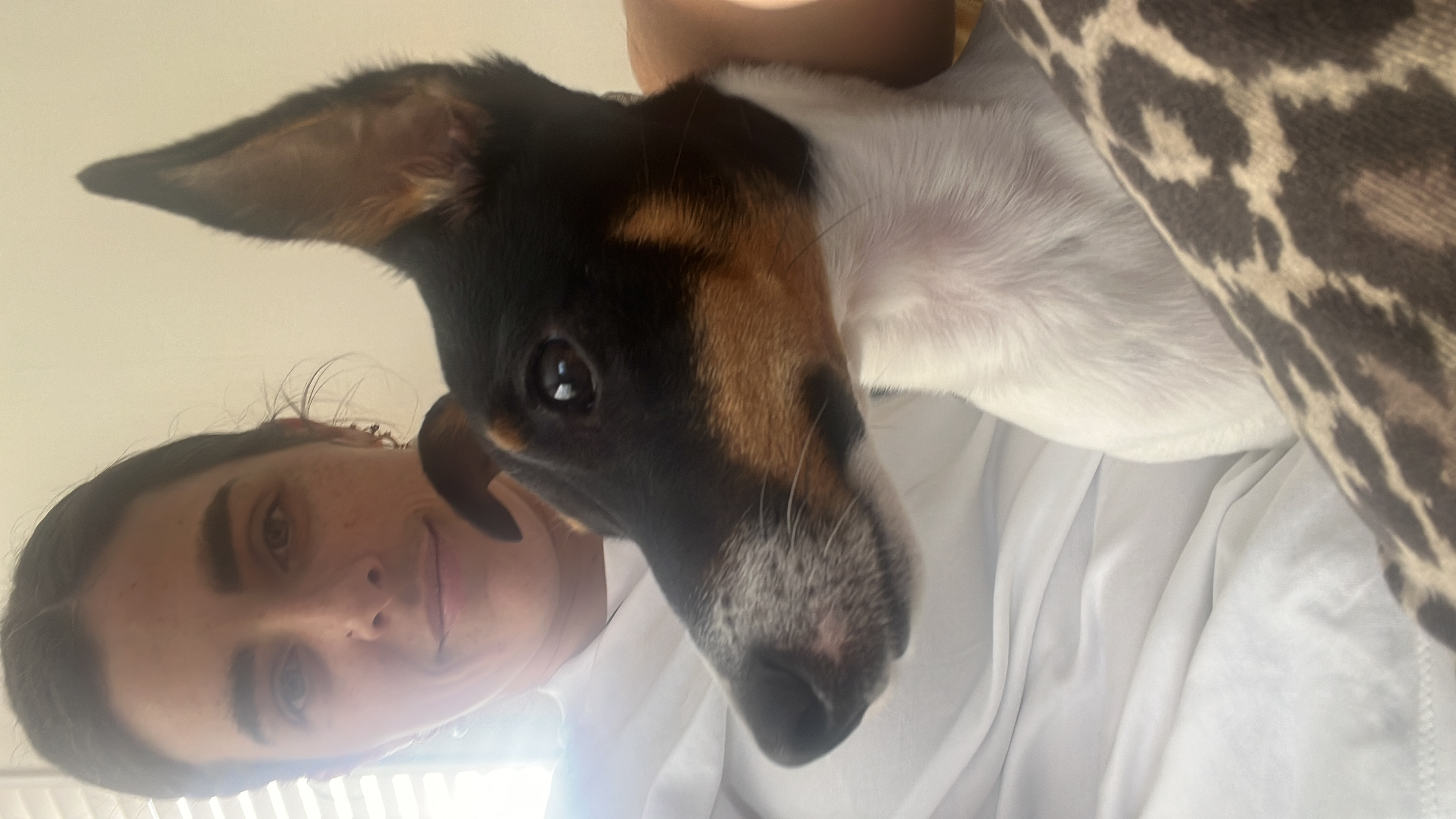 image-6