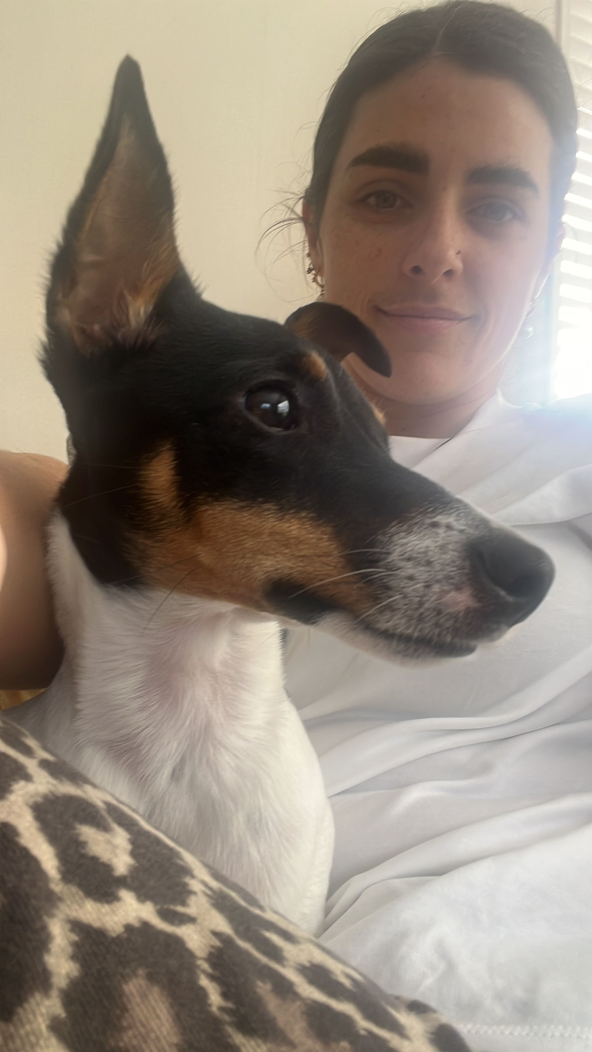 image-6