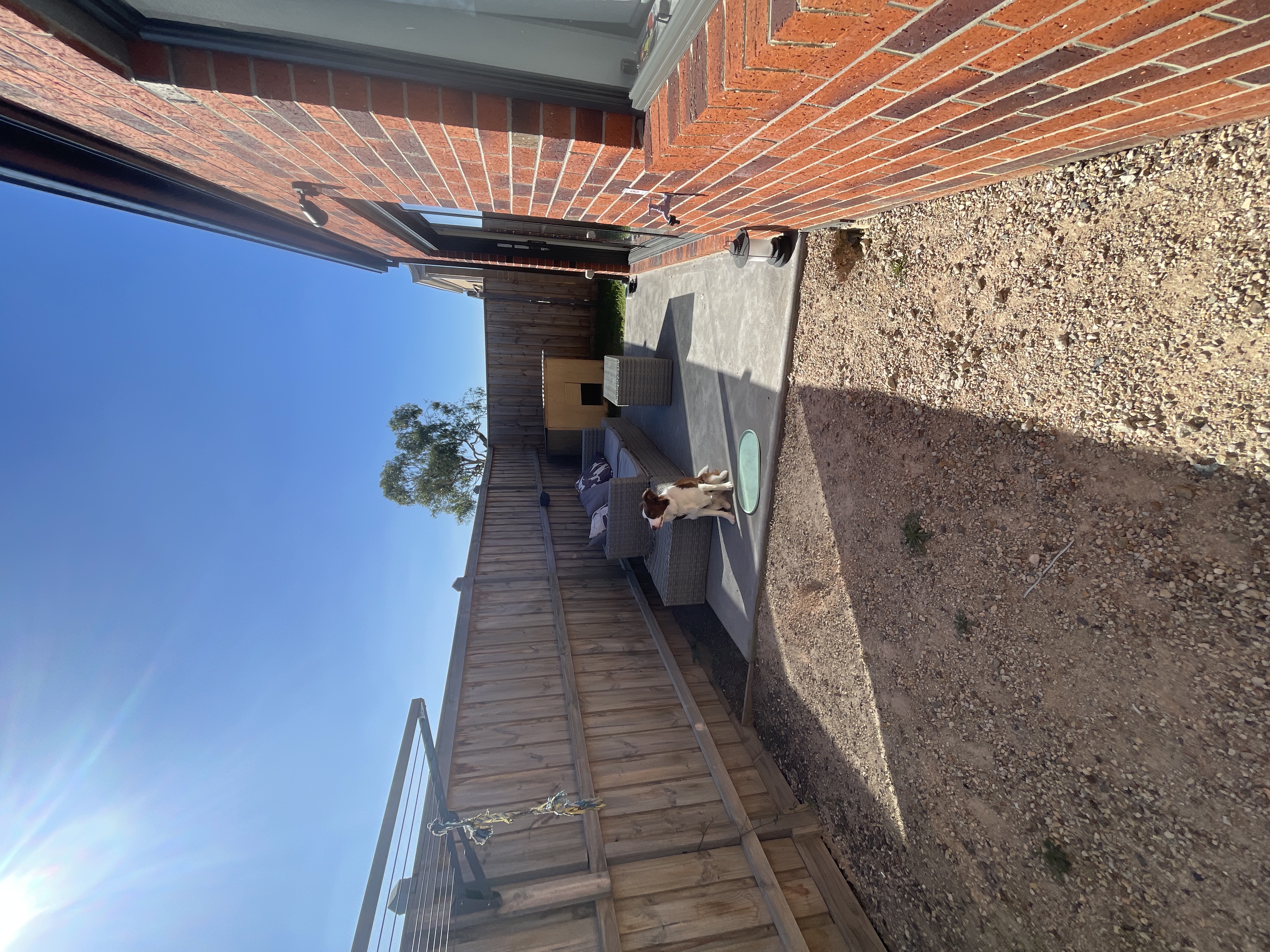 image-19