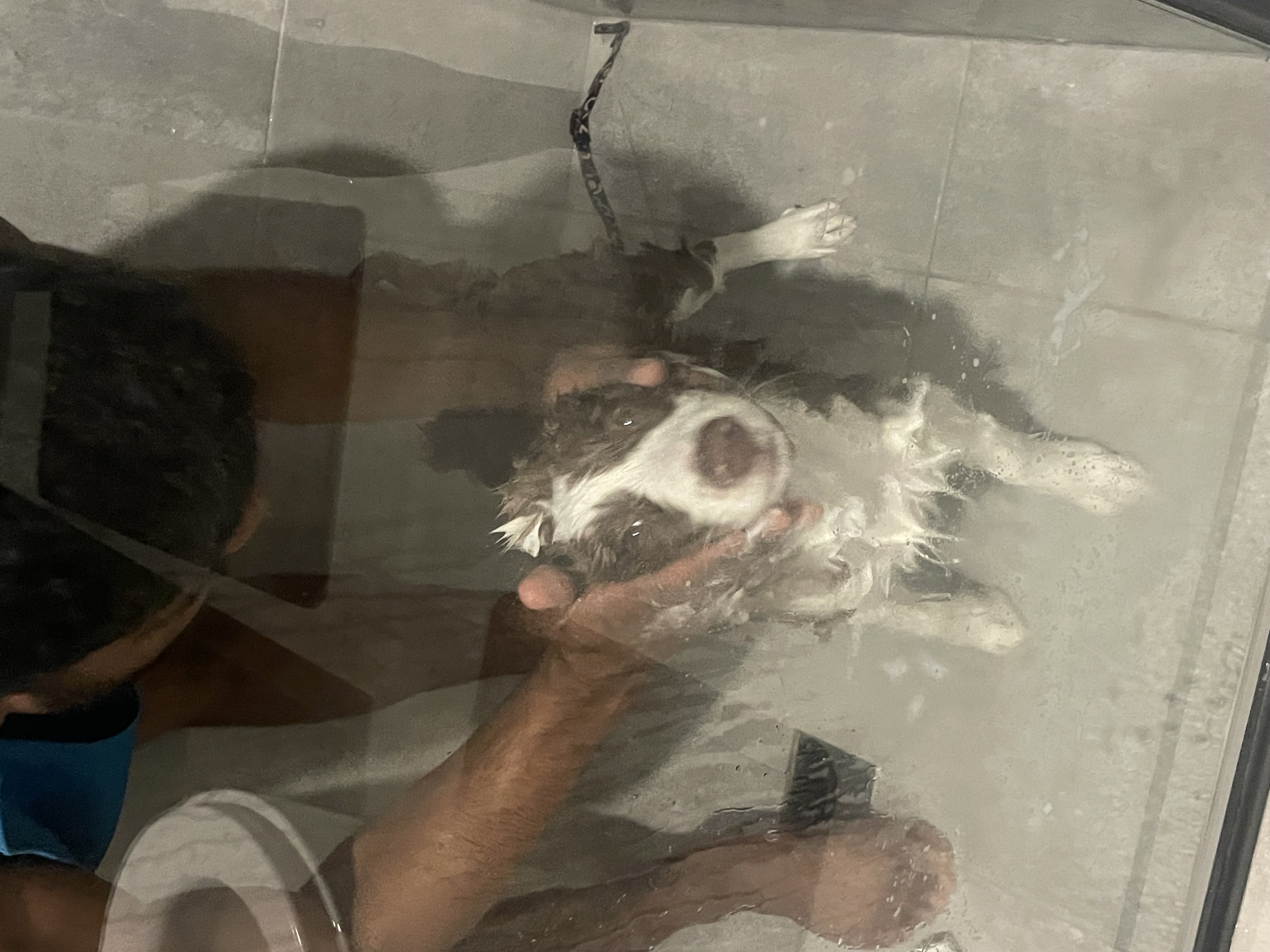 image-9