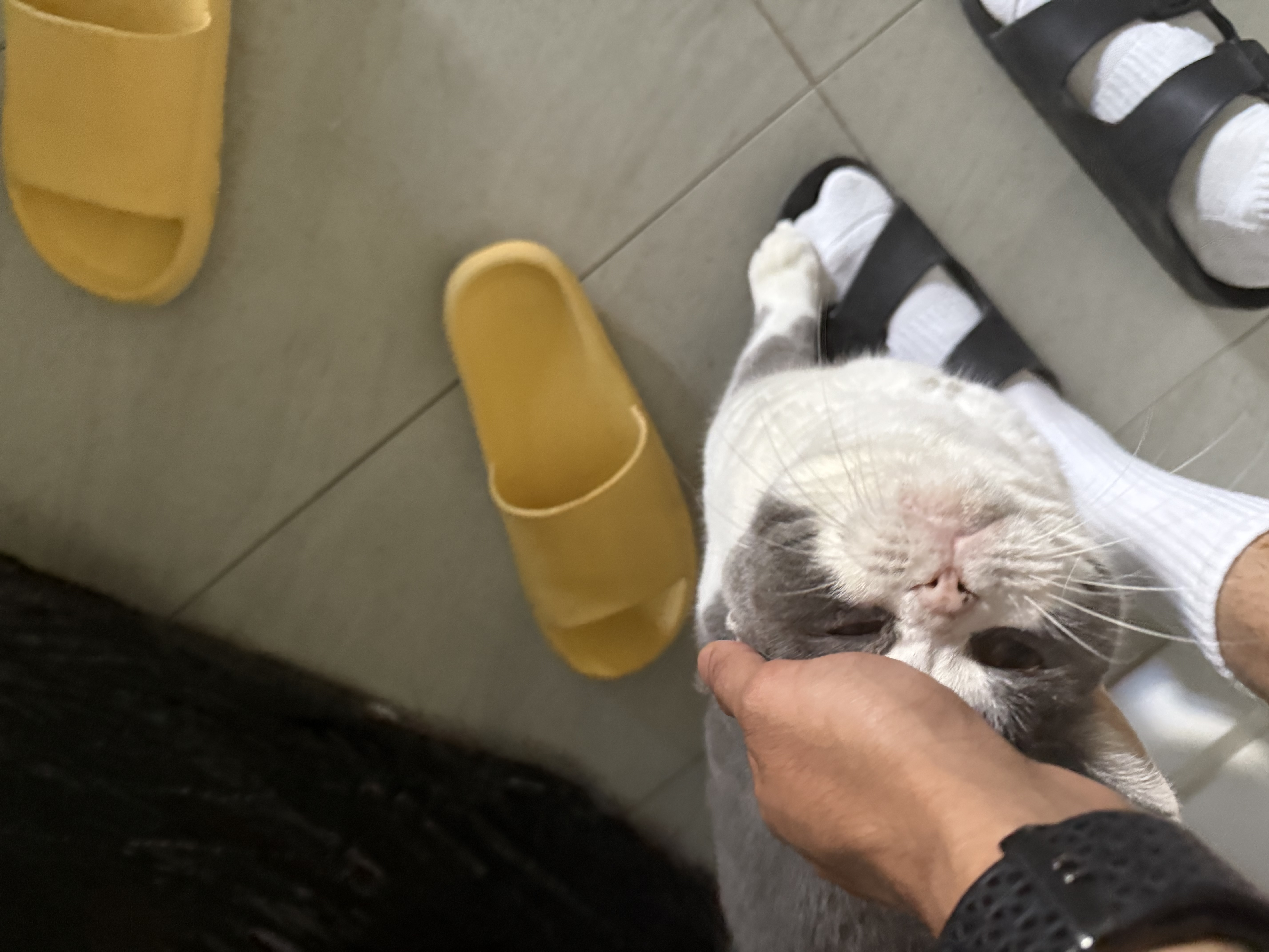 image-6