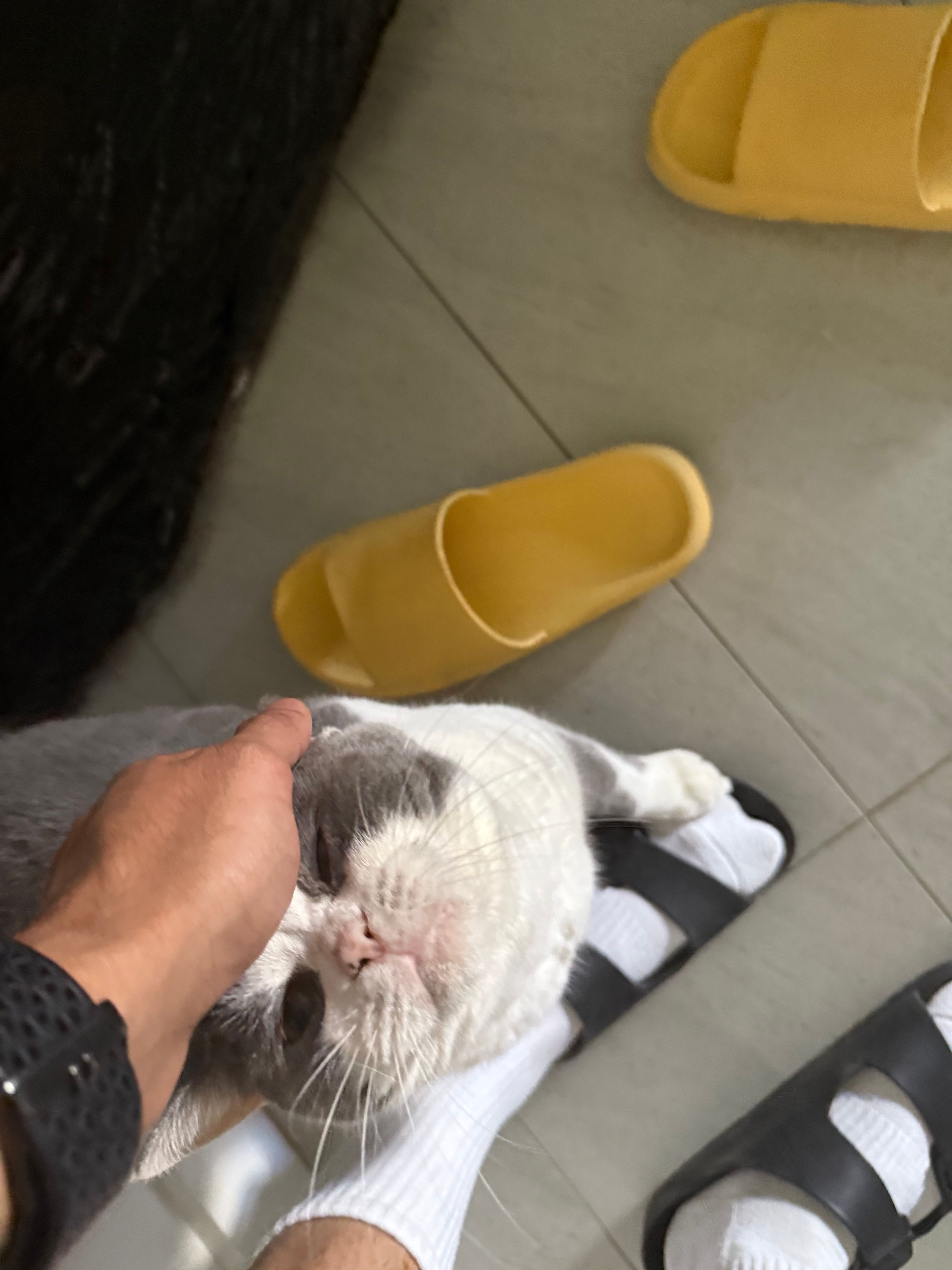 image-6
