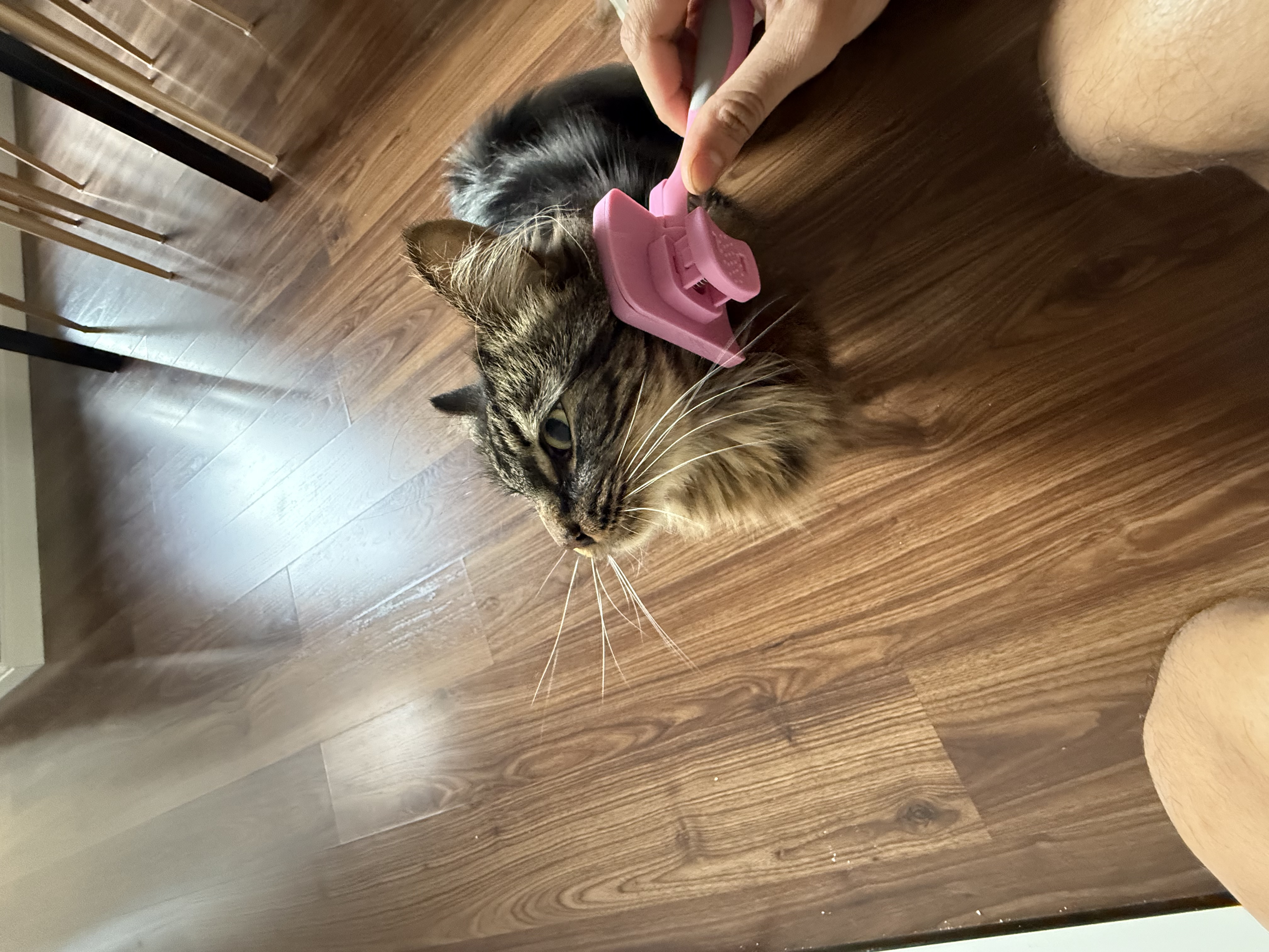 image-4