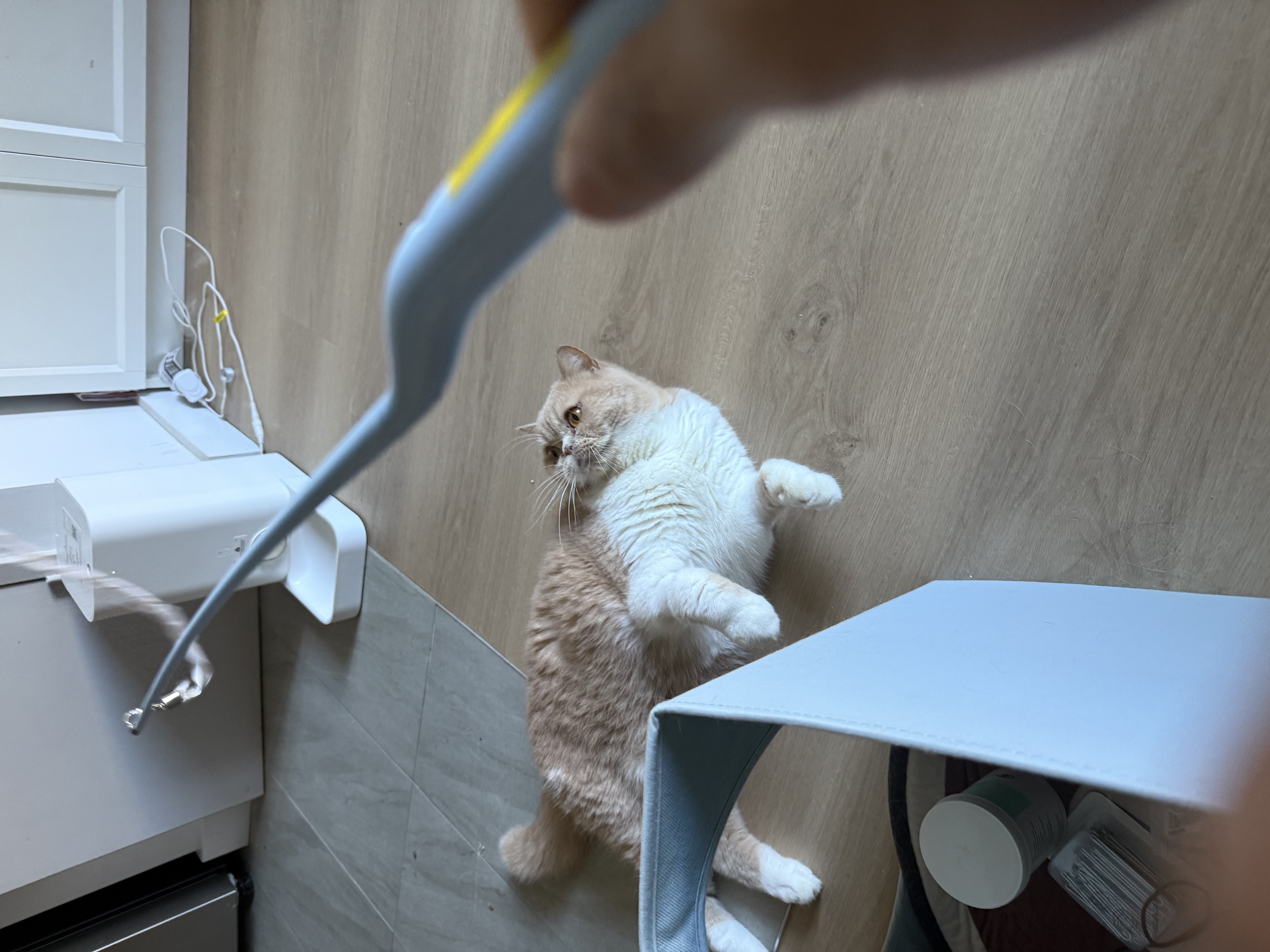 image-7