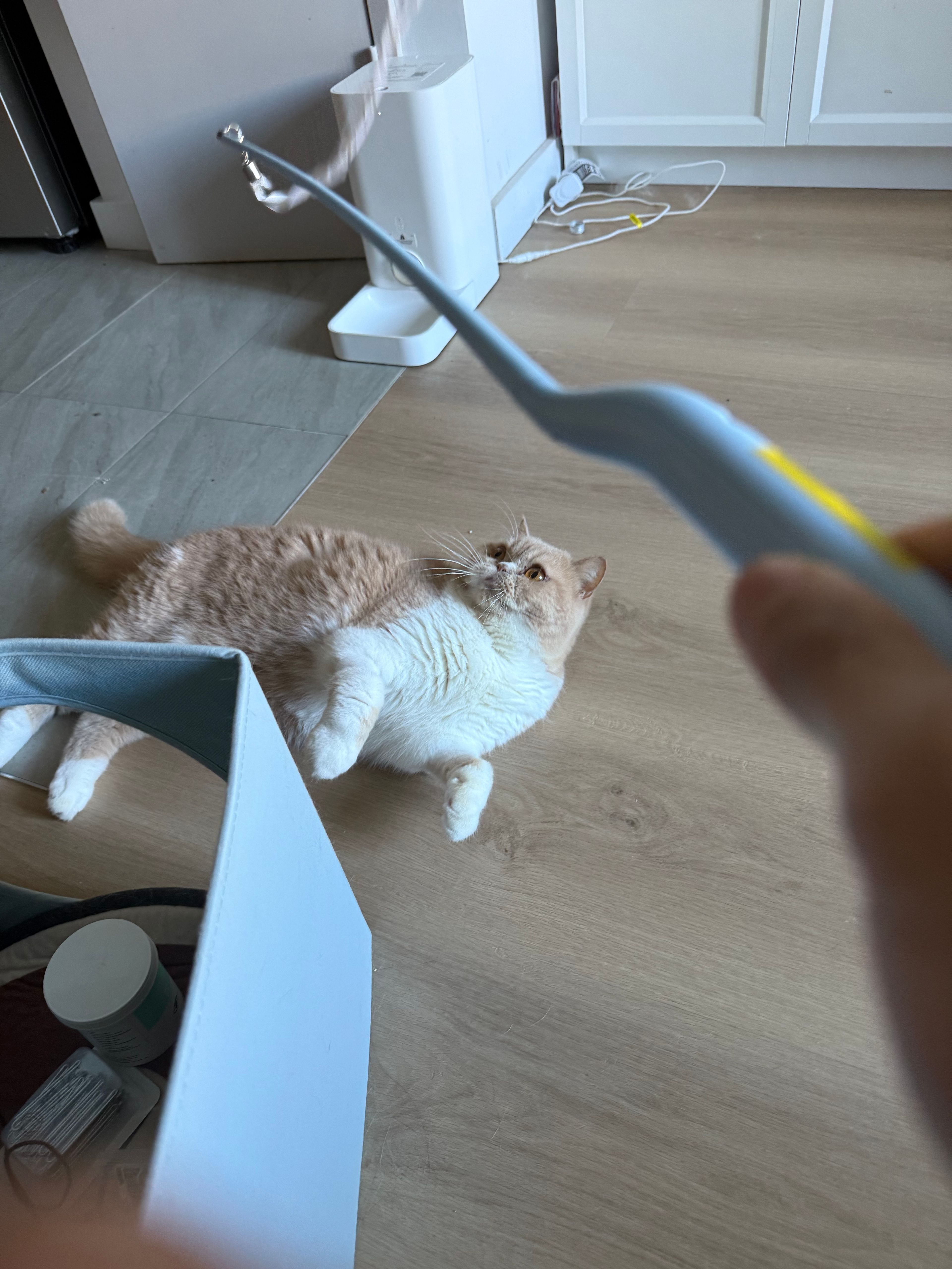 image-7