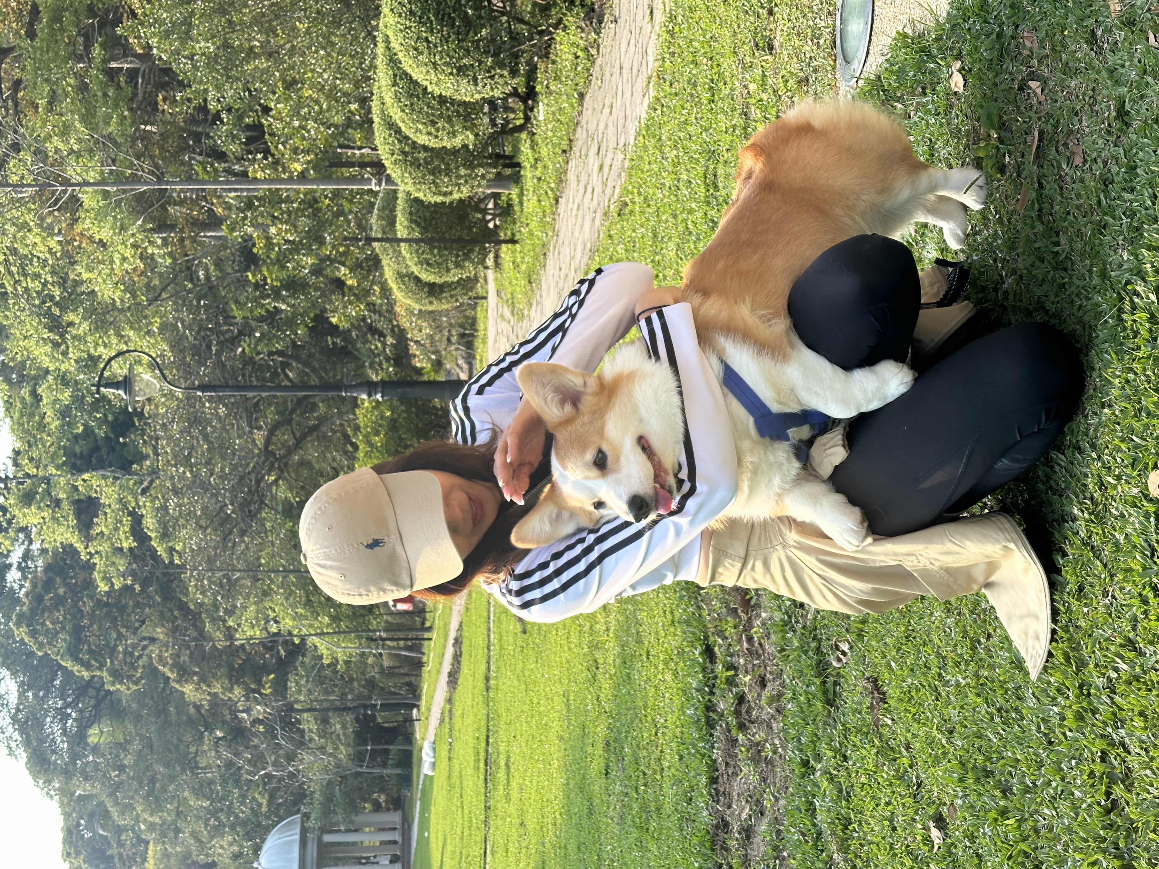 image-13