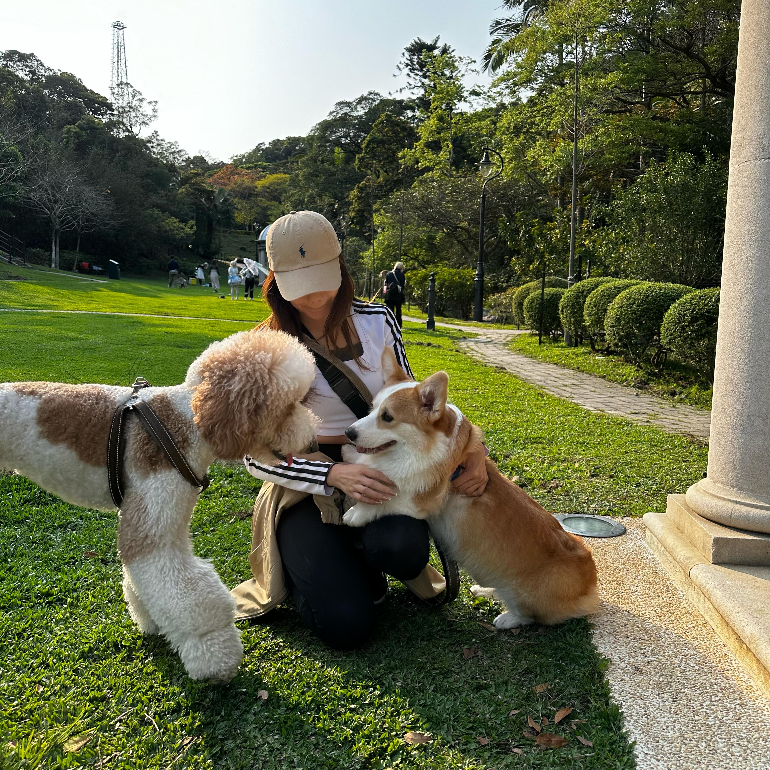 image-14