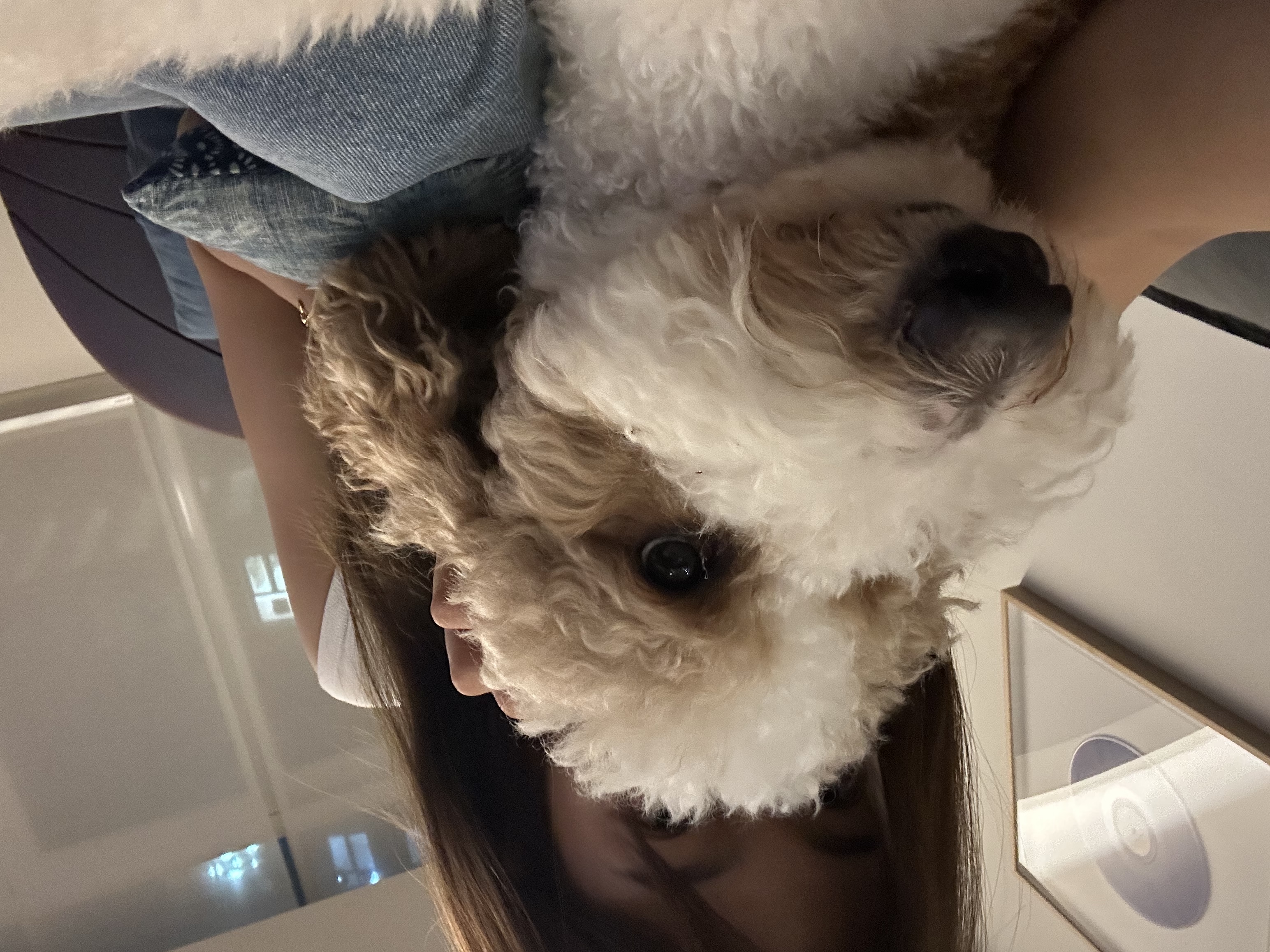image-11