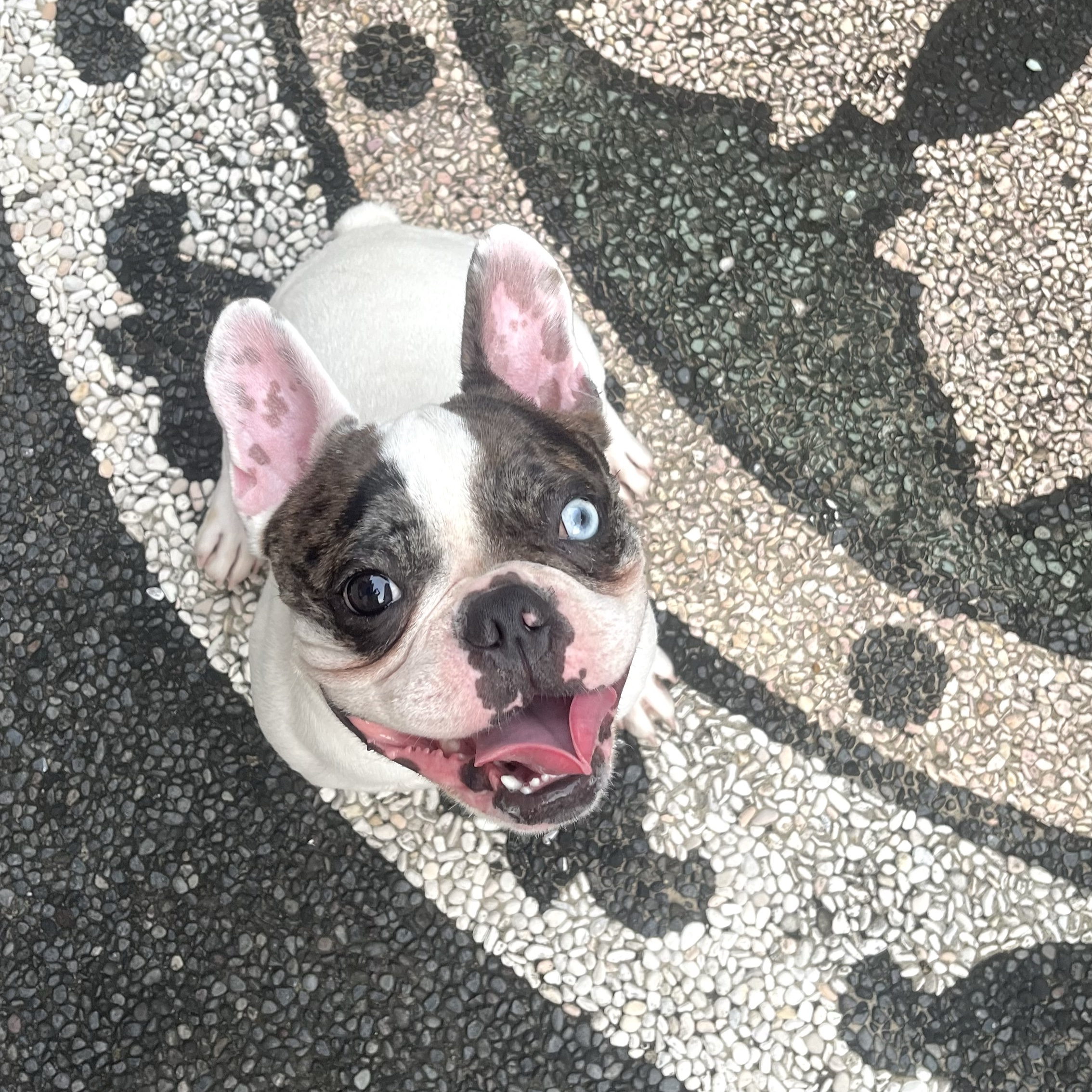 stitch