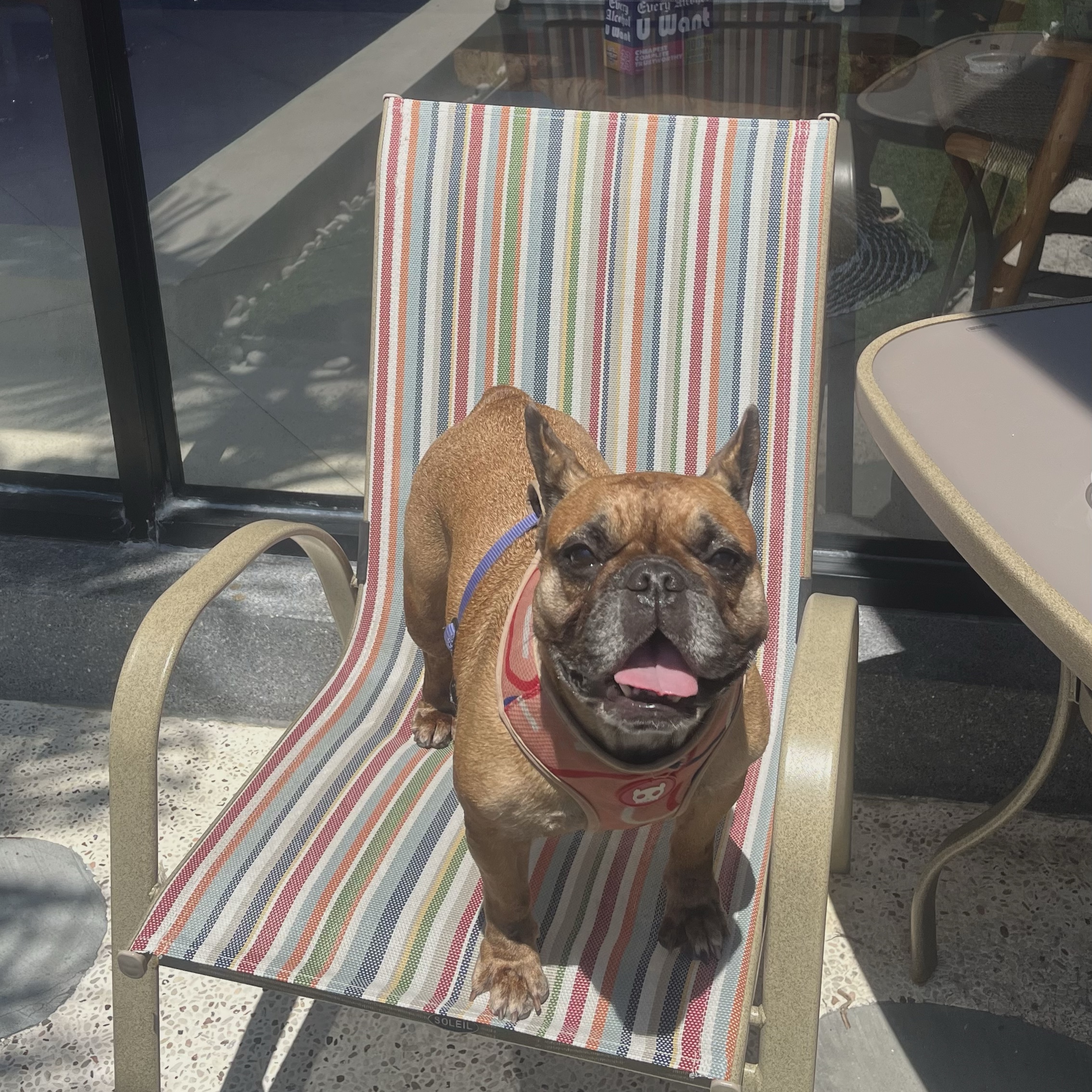 milo