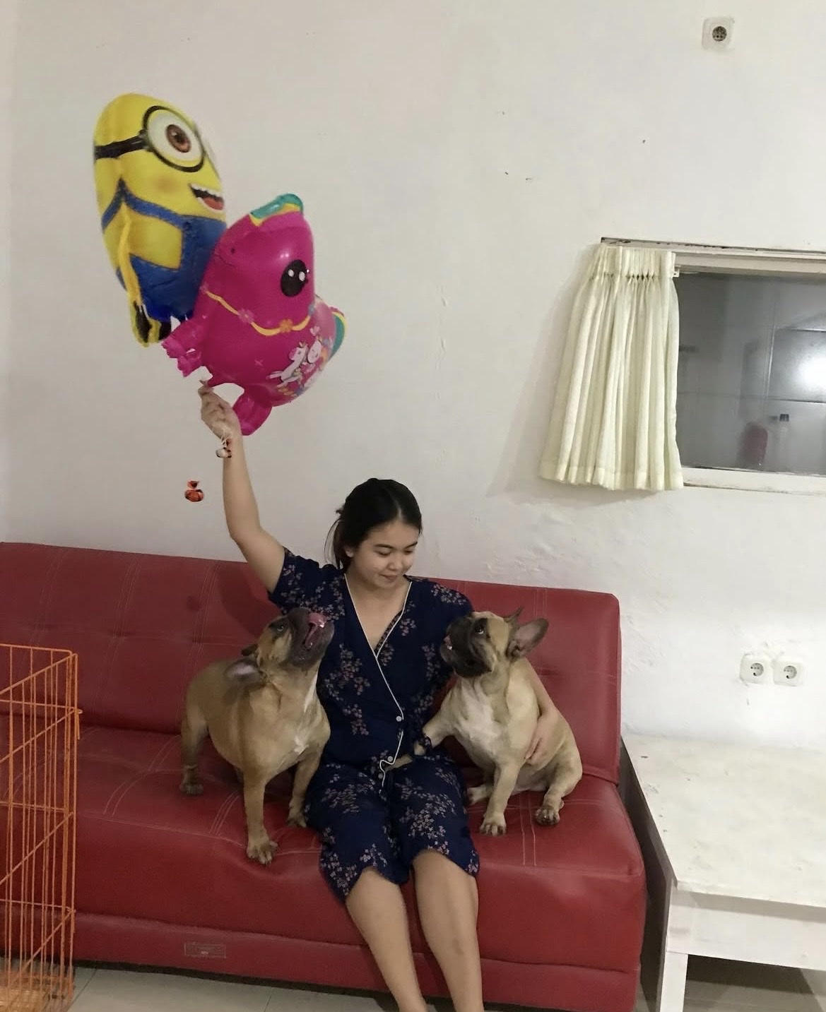 image-14