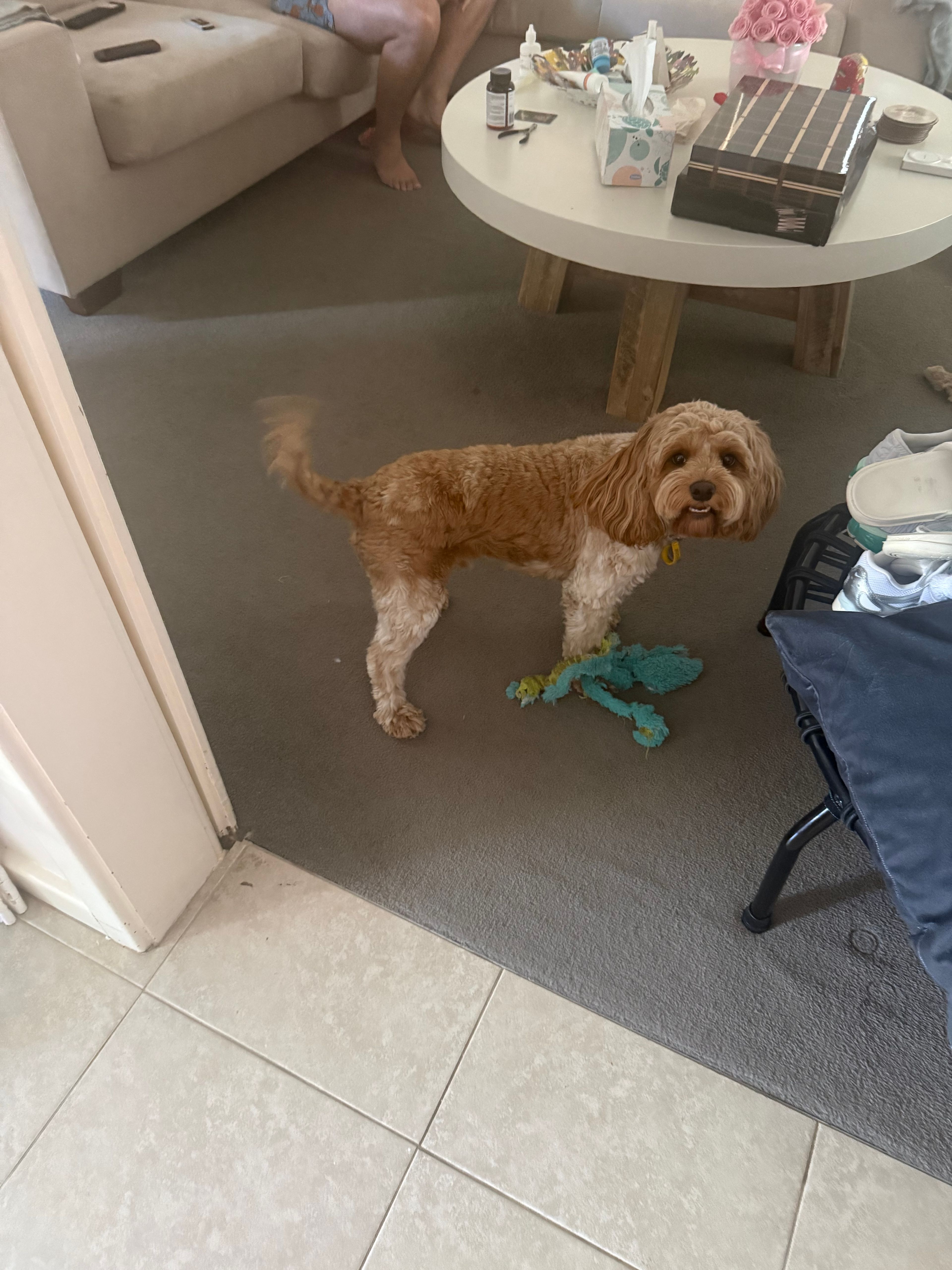 image-12