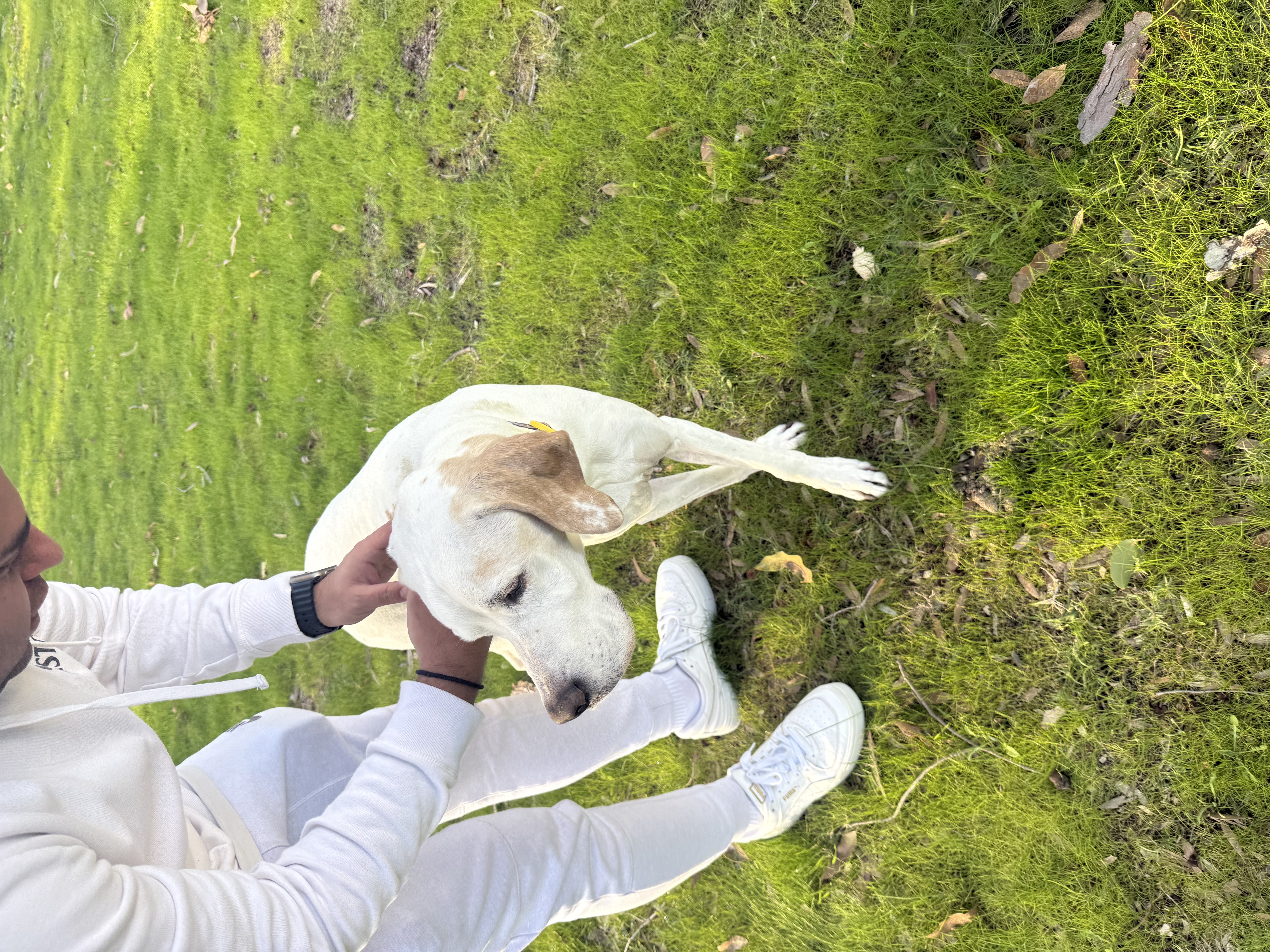 image-9