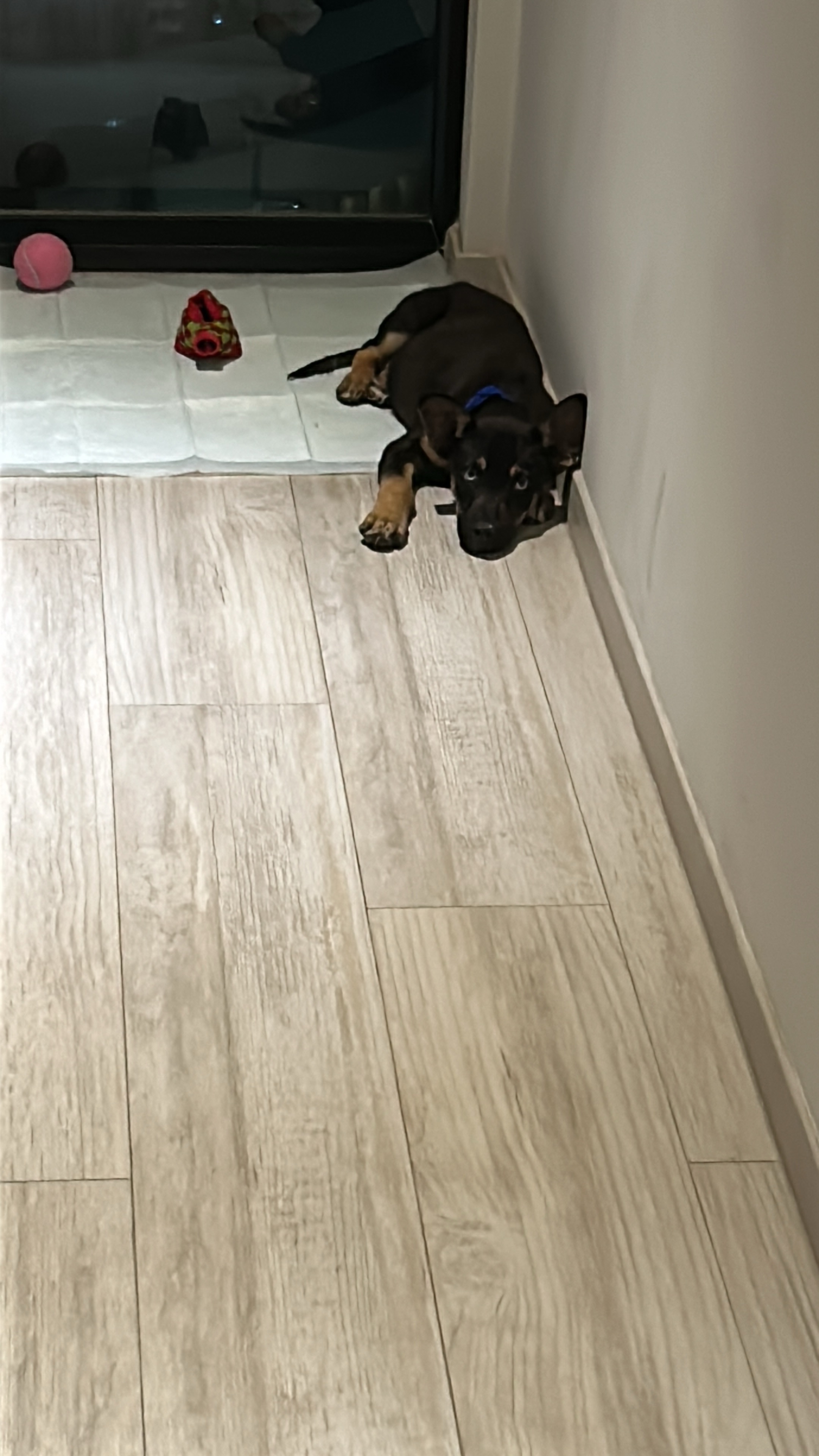 image-3
