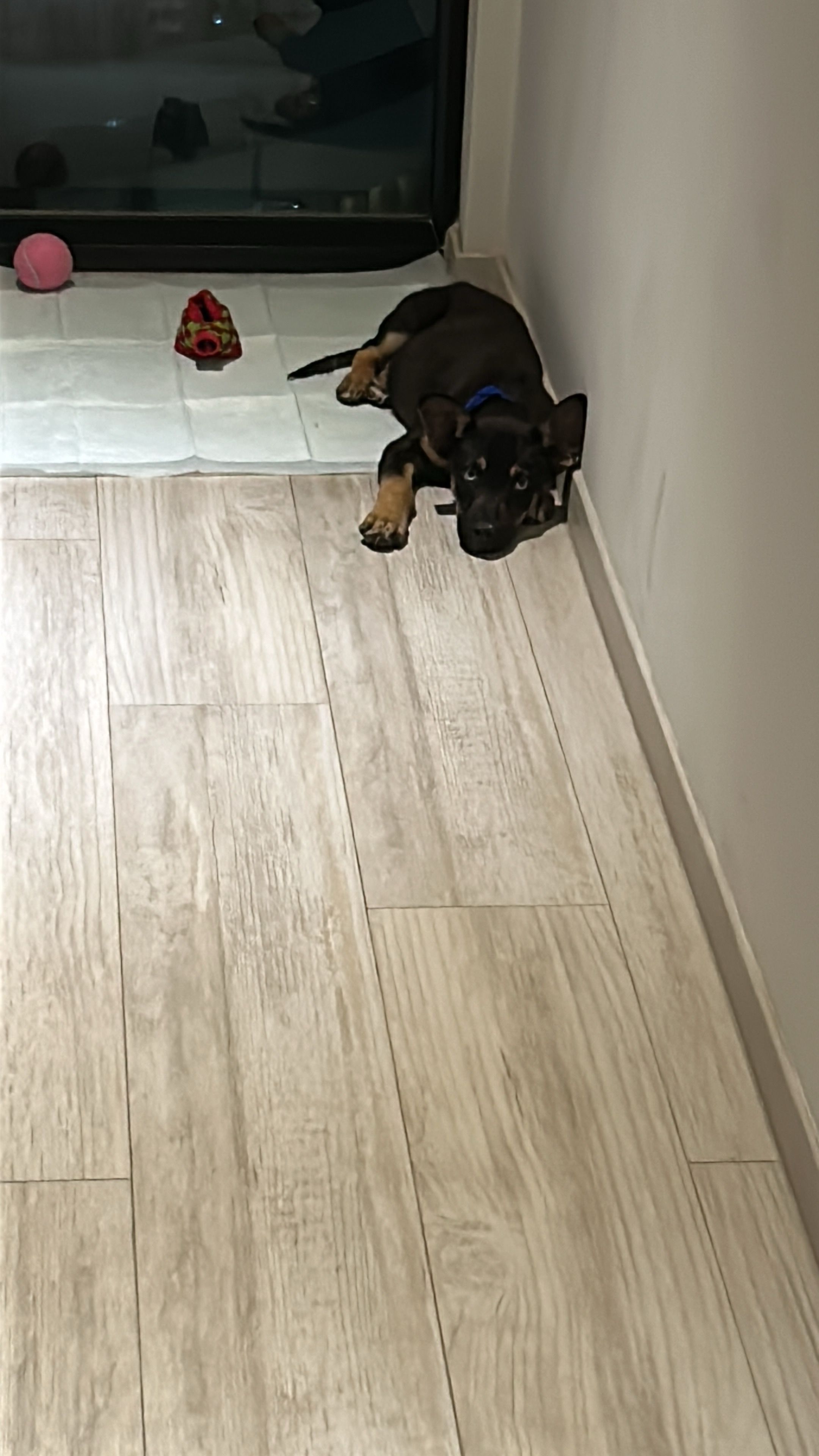 image-3