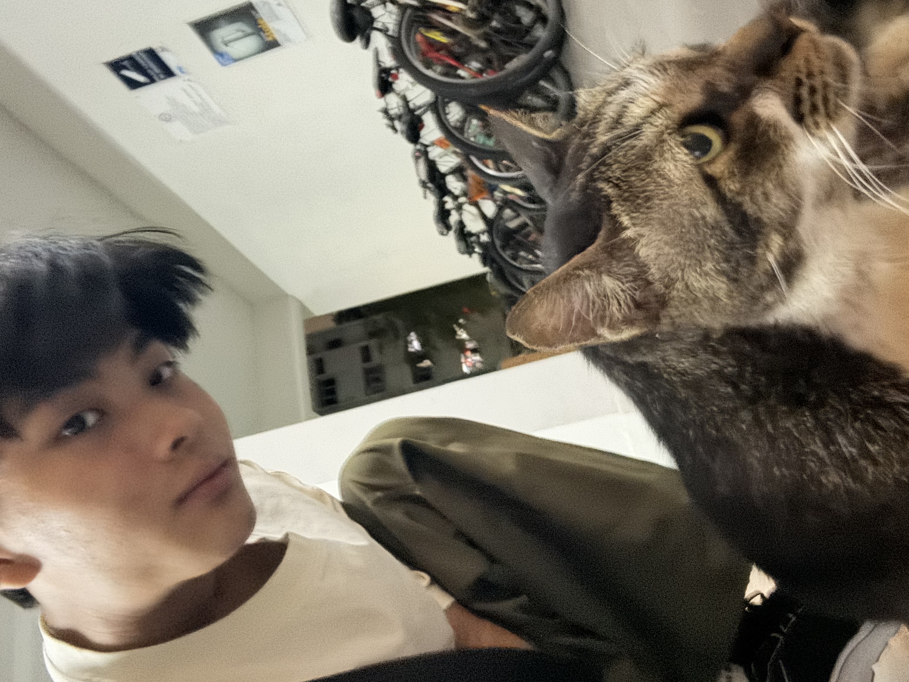image-4