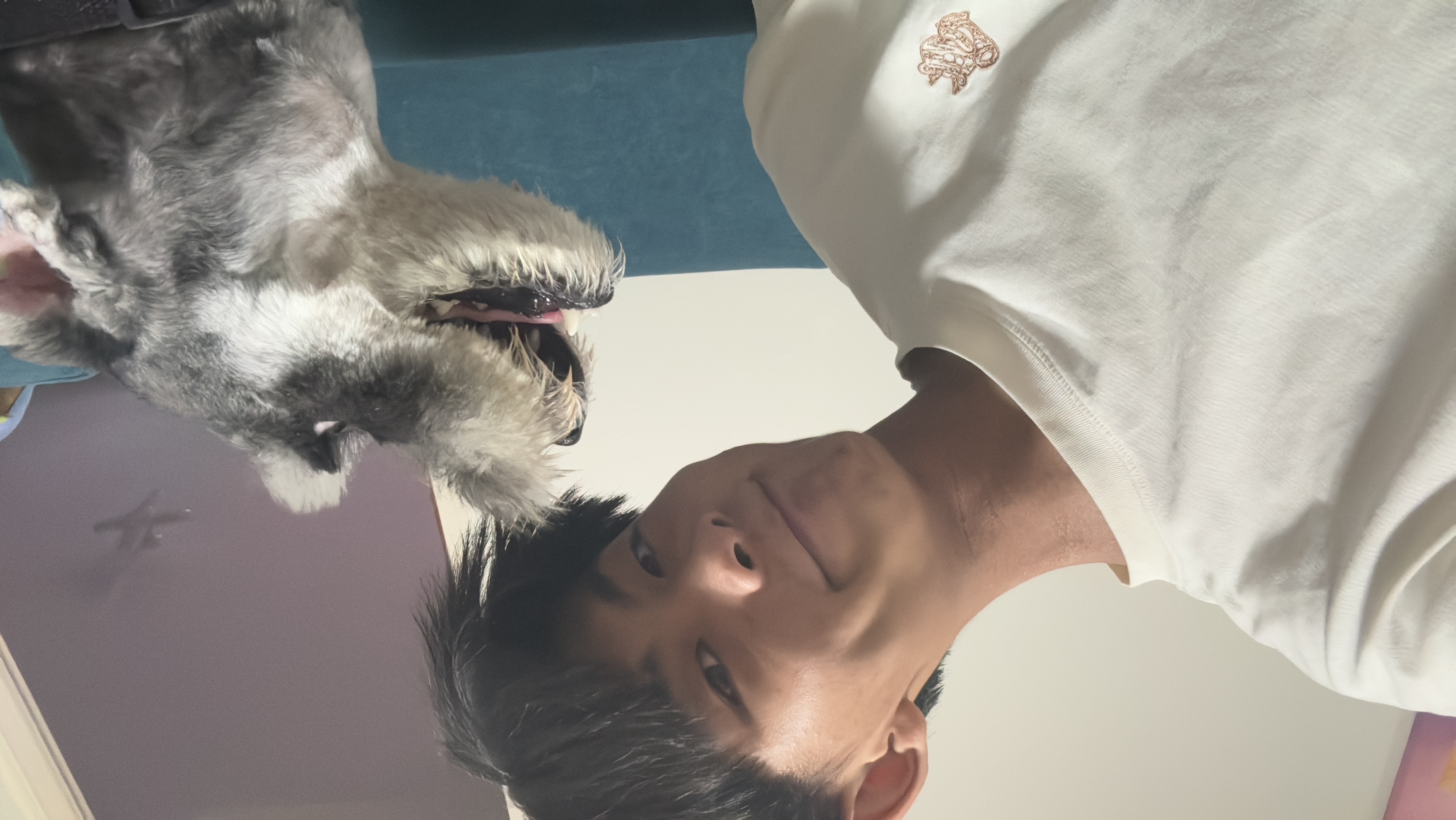 image-3