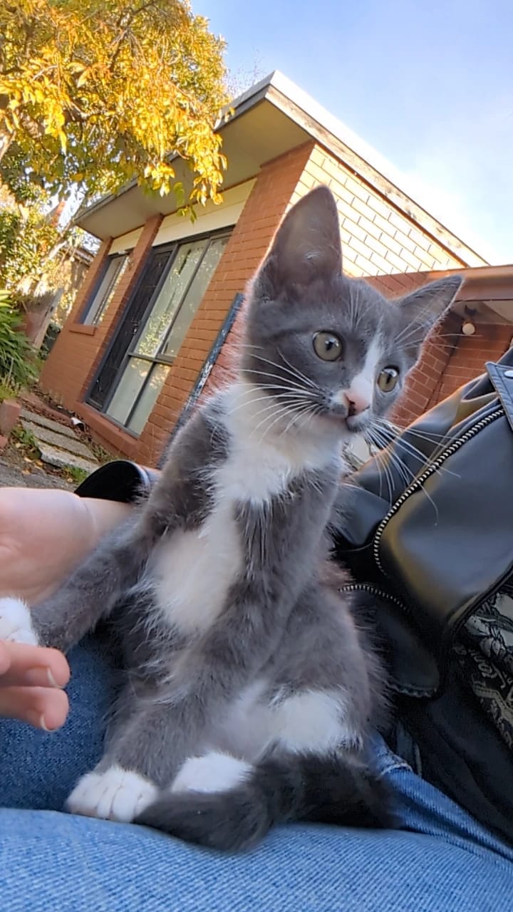 image-1