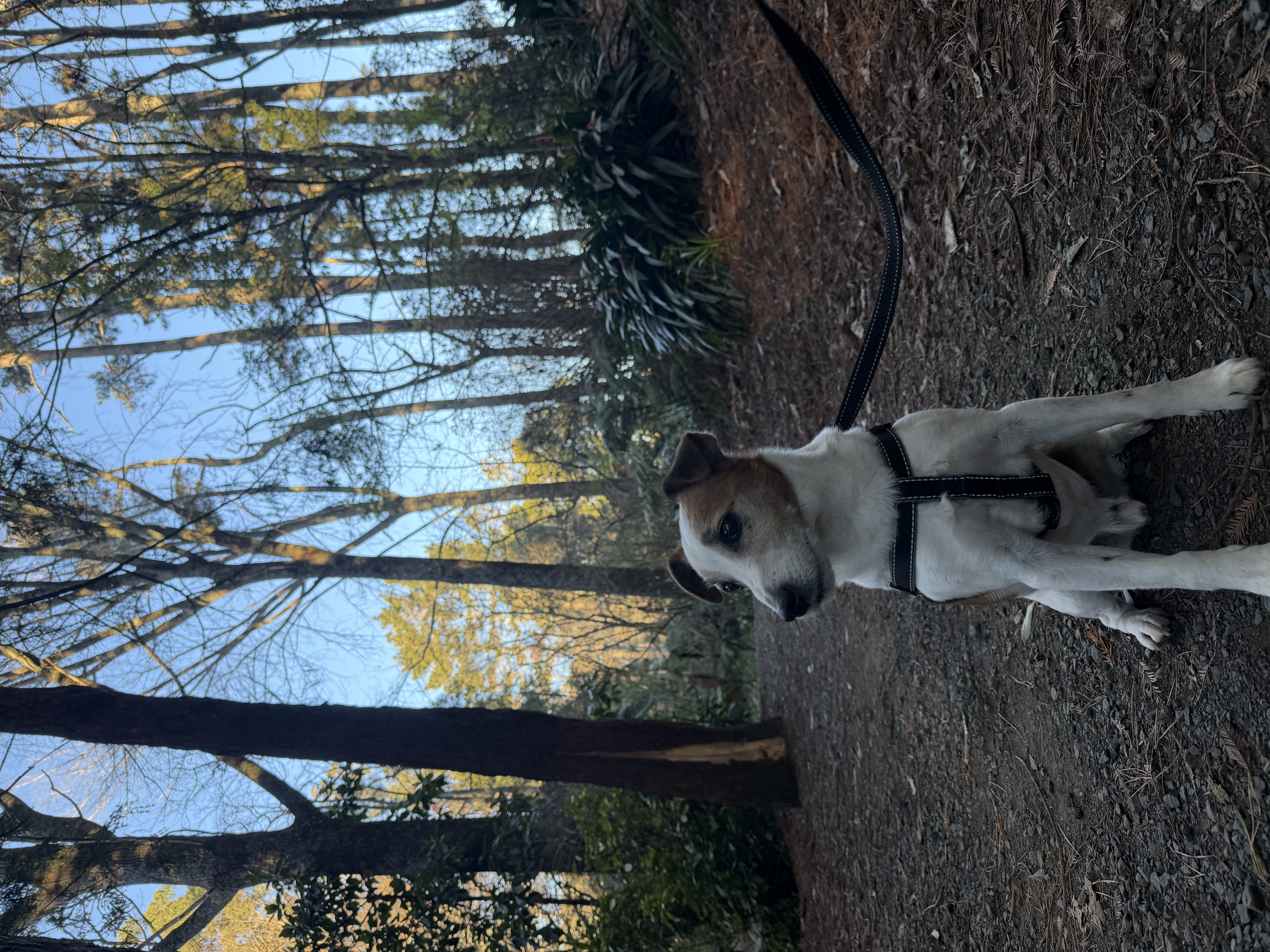image-11