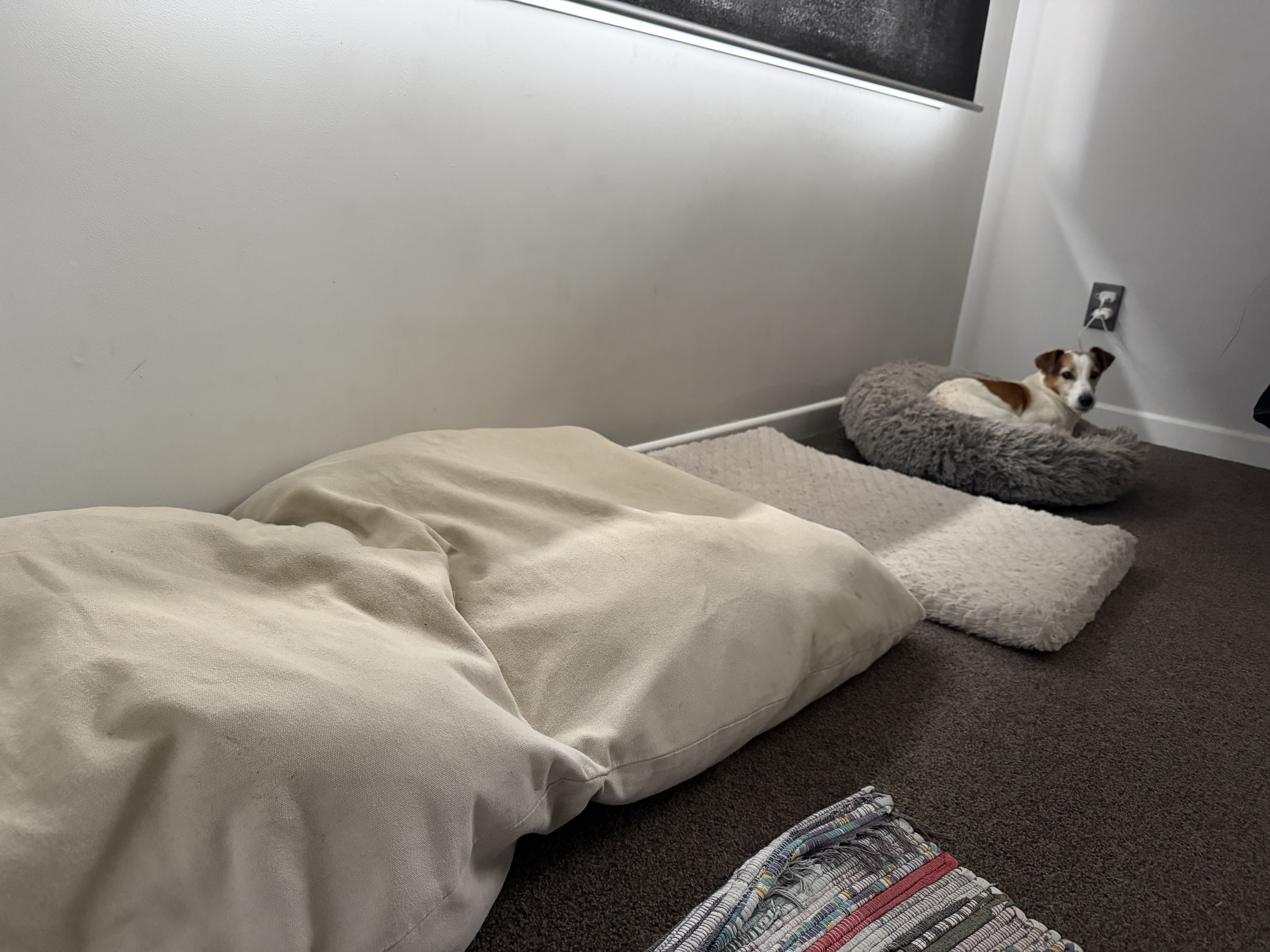 image-6