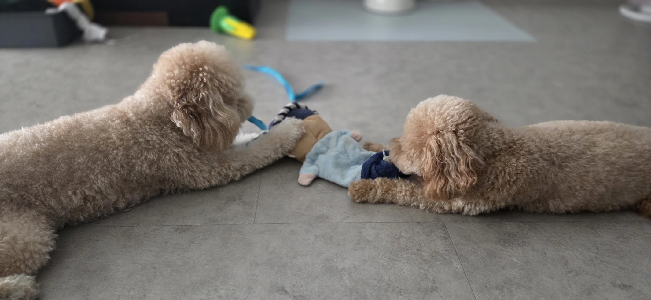 image-8