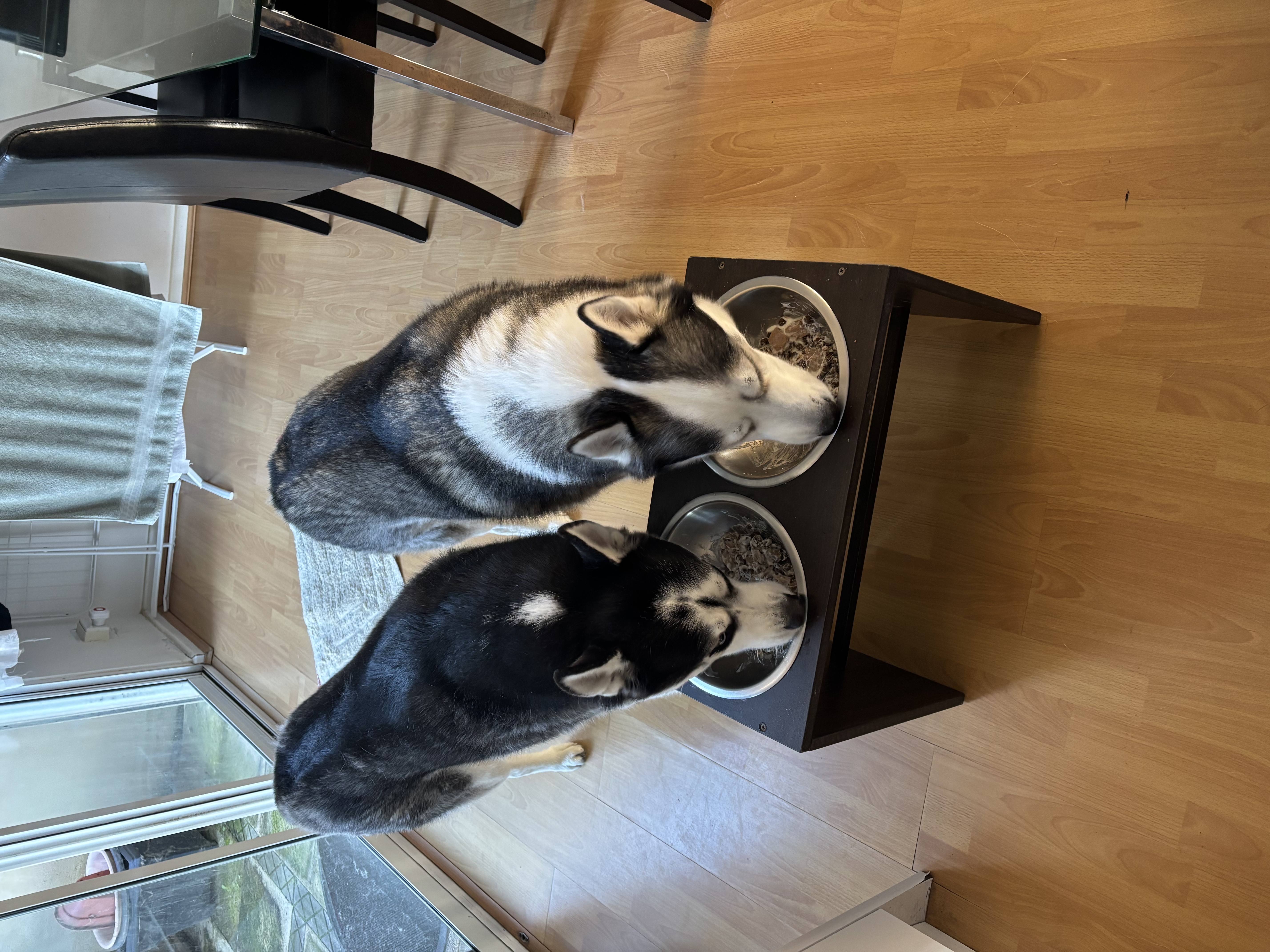 image-15