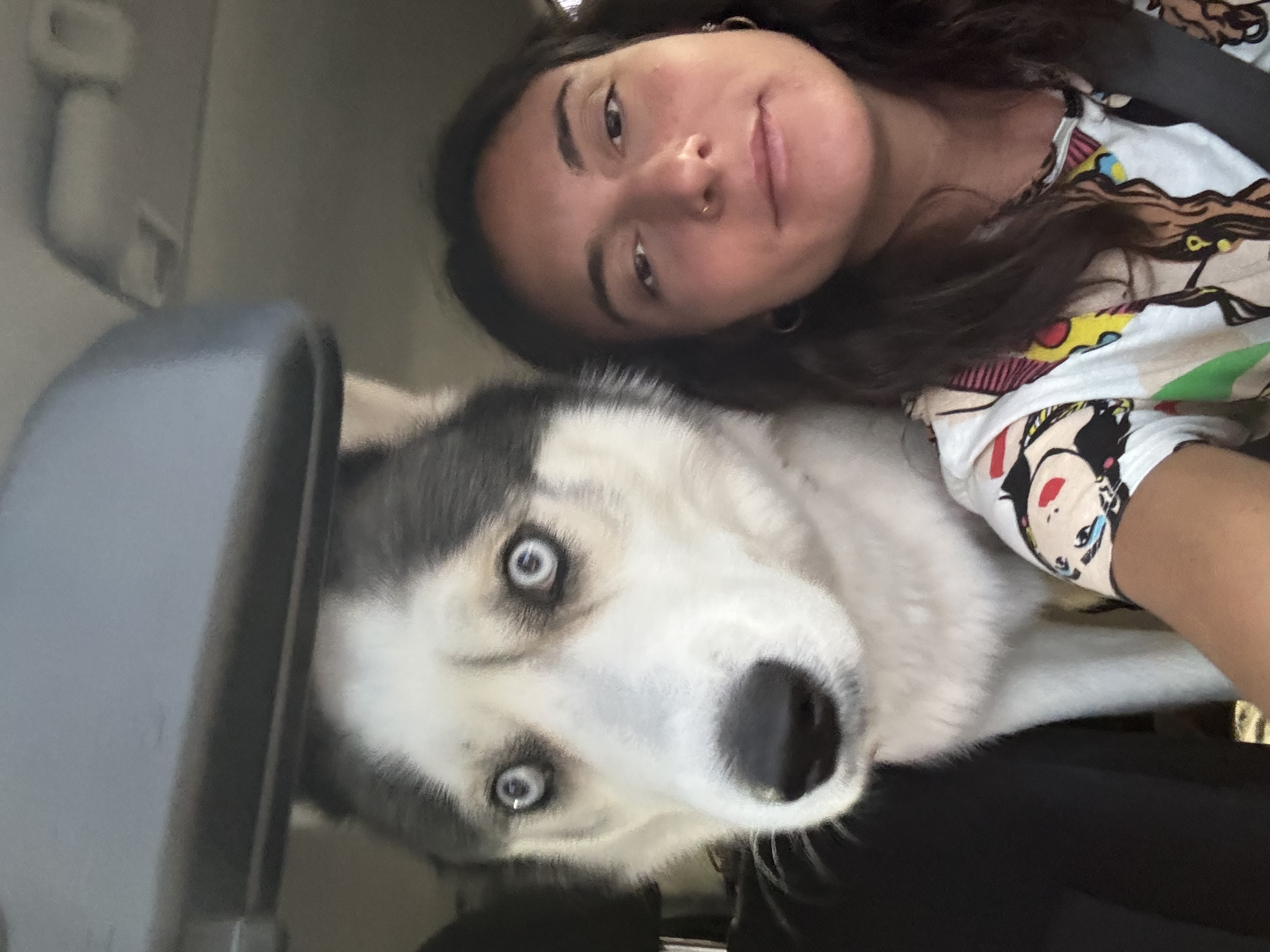 image-12