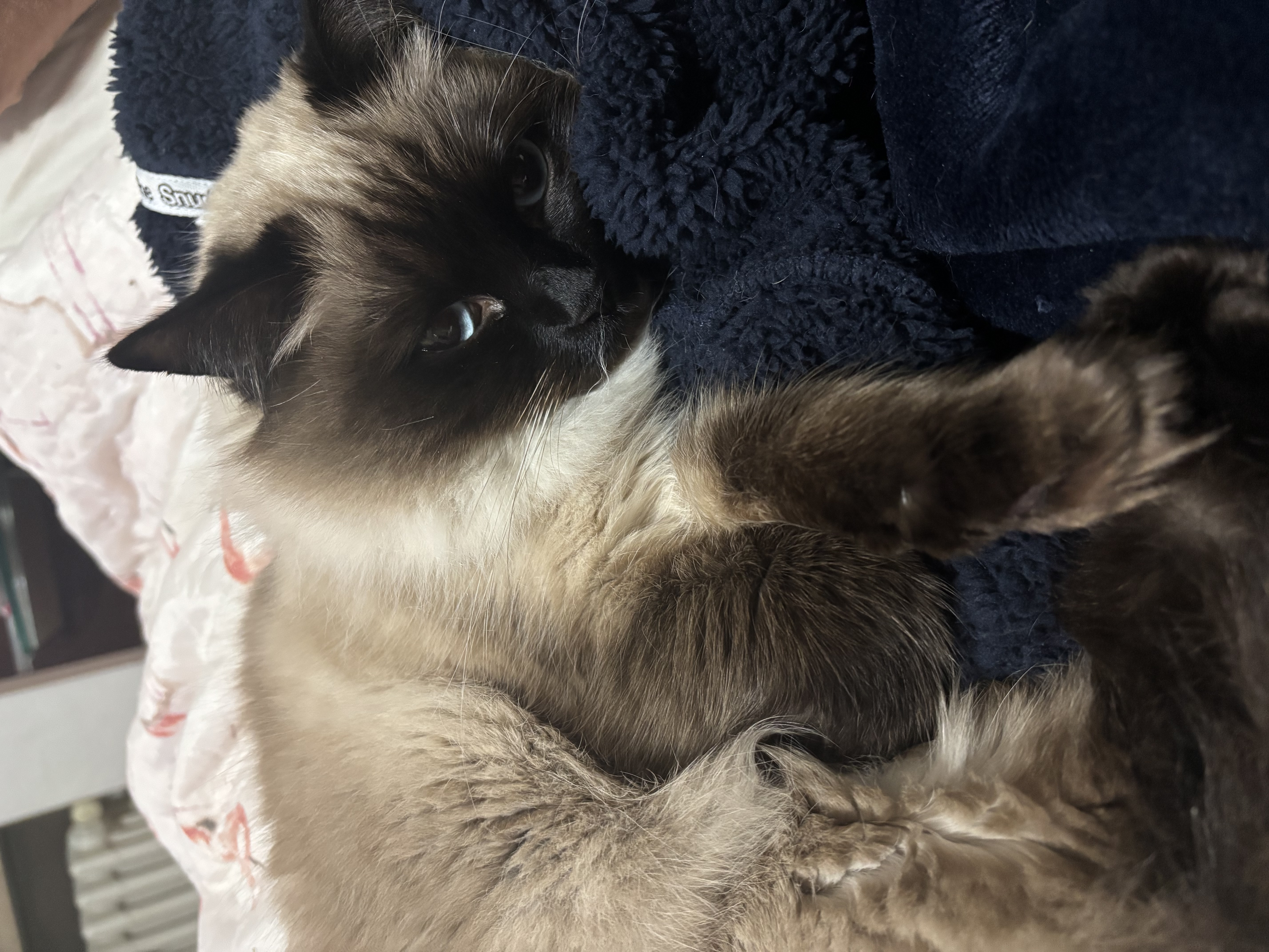image-6