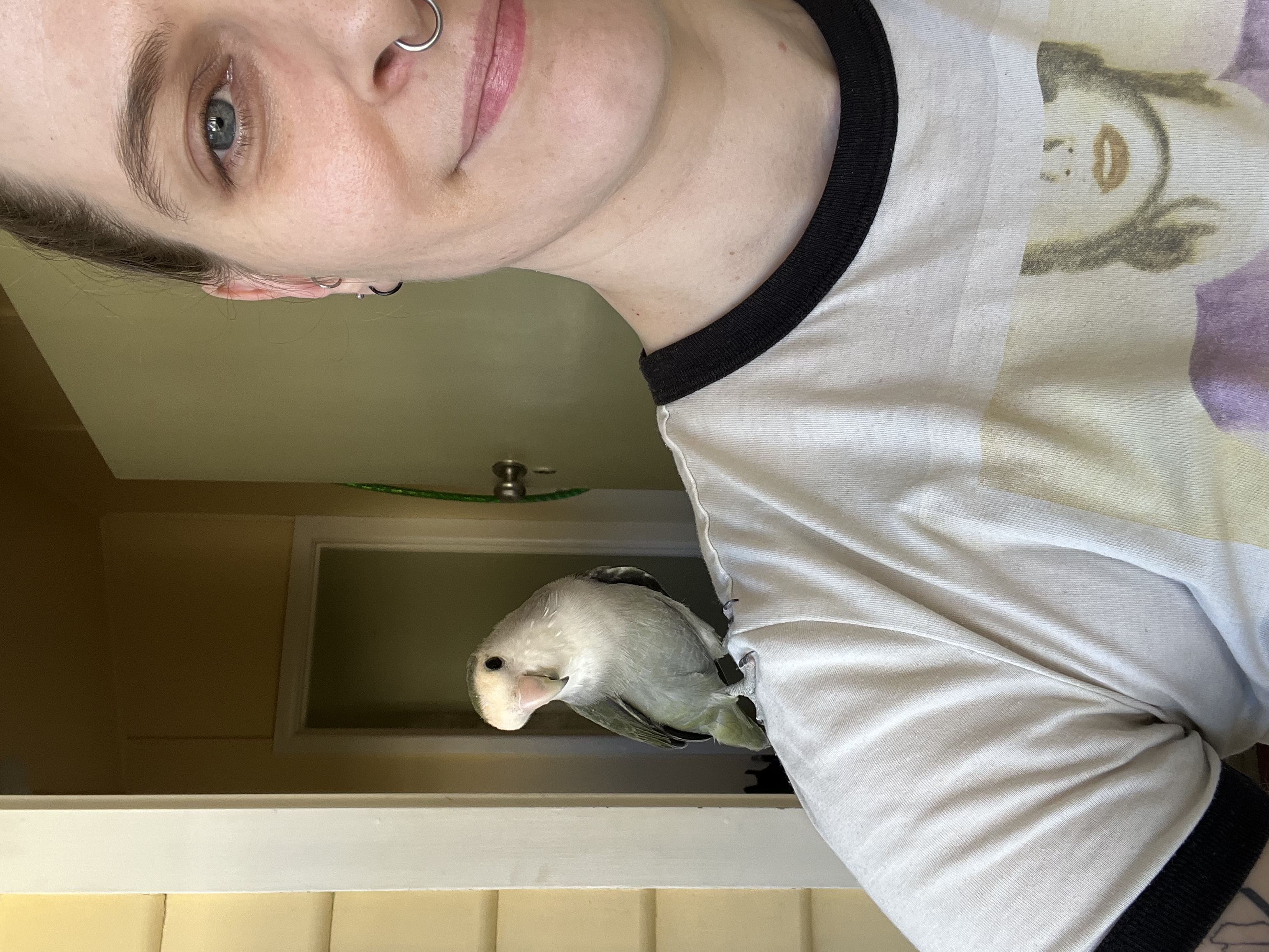 image-11