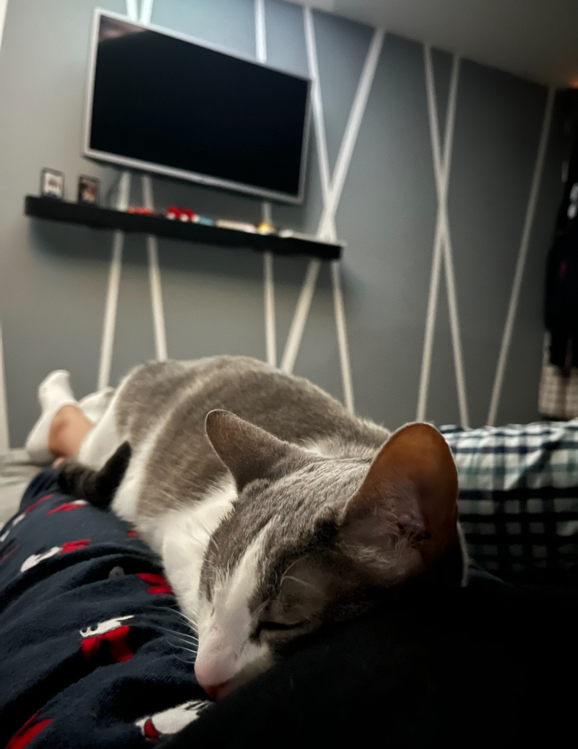 image-7