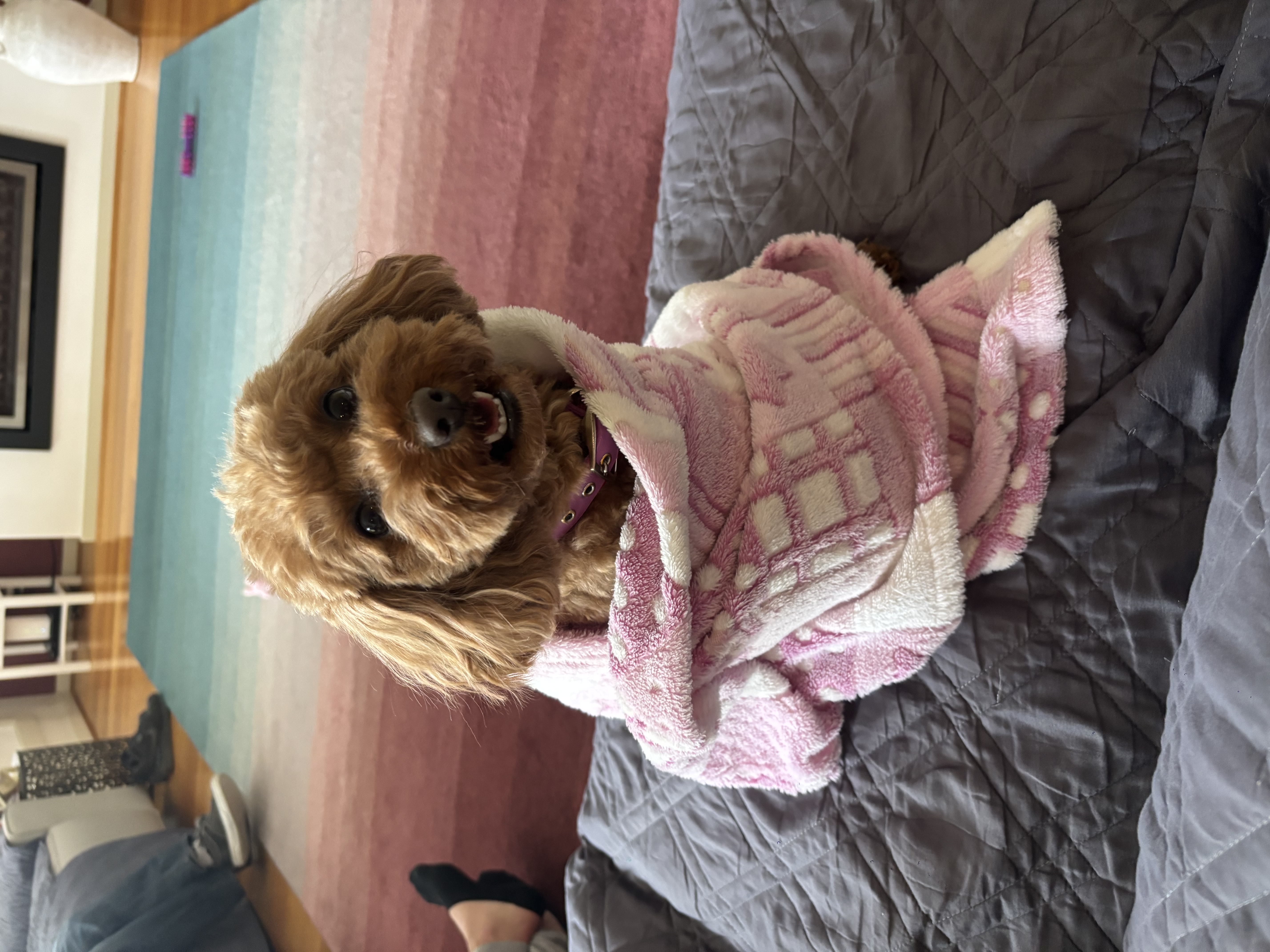 image-11