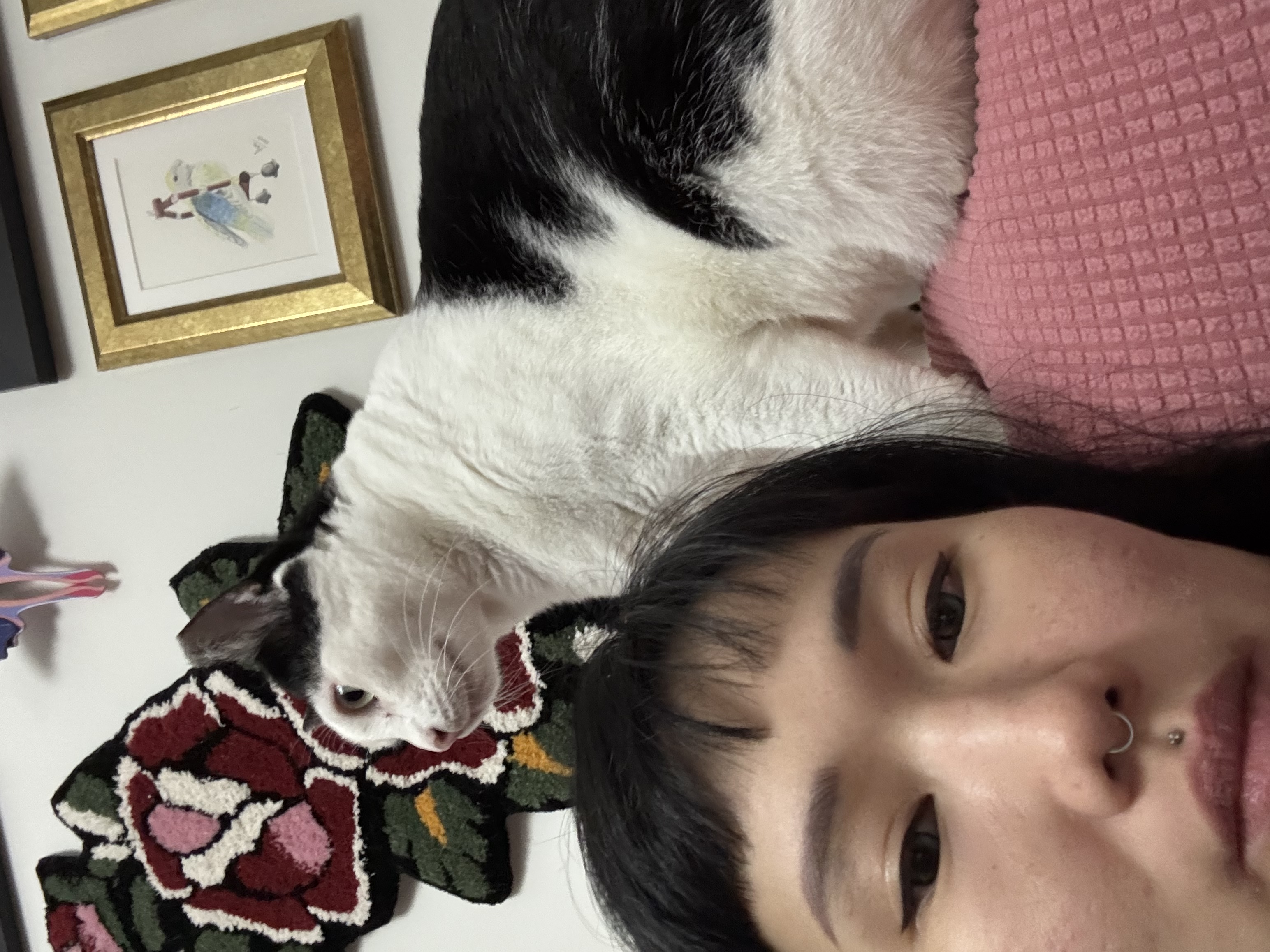 image-2