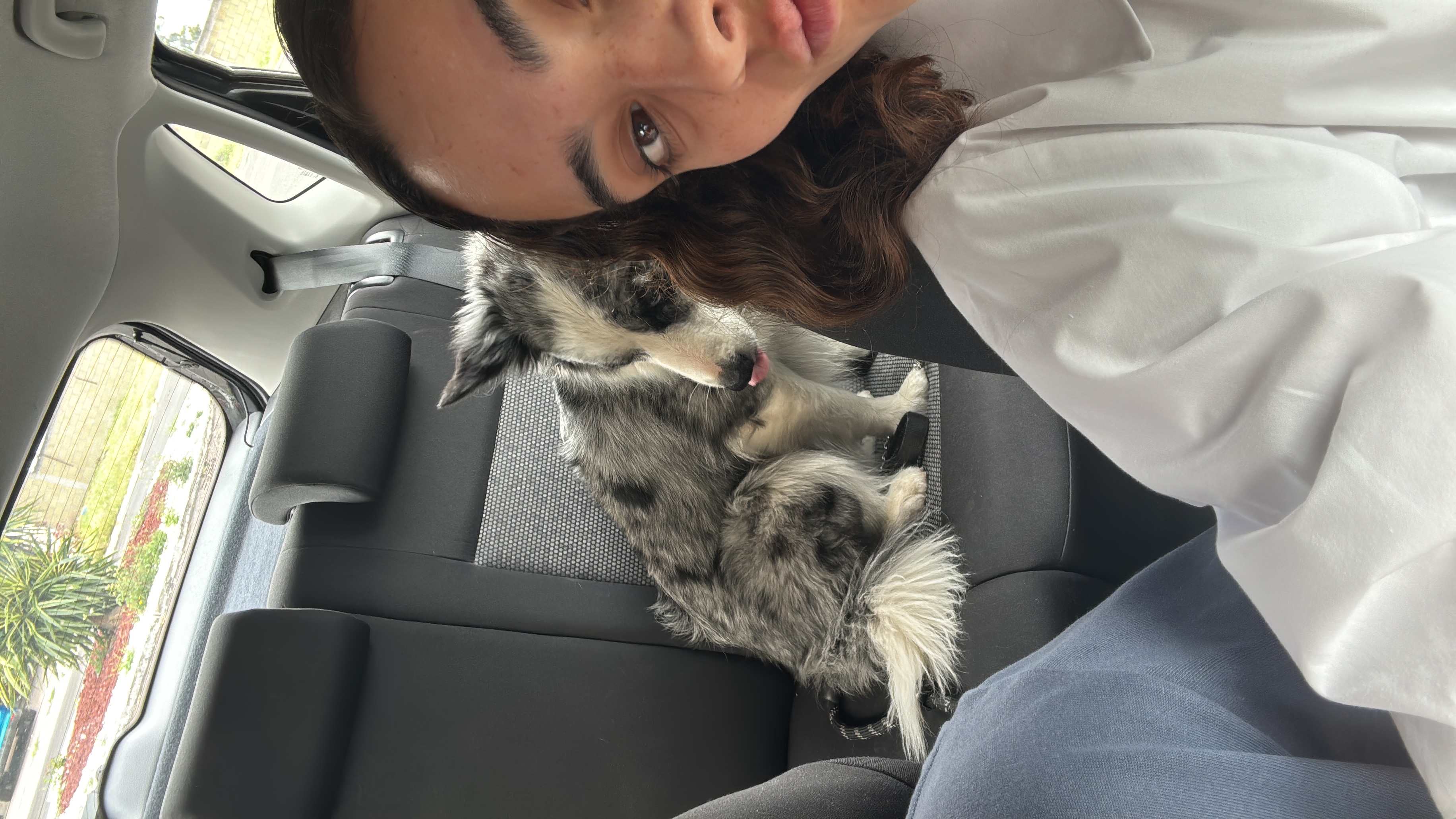 image-6