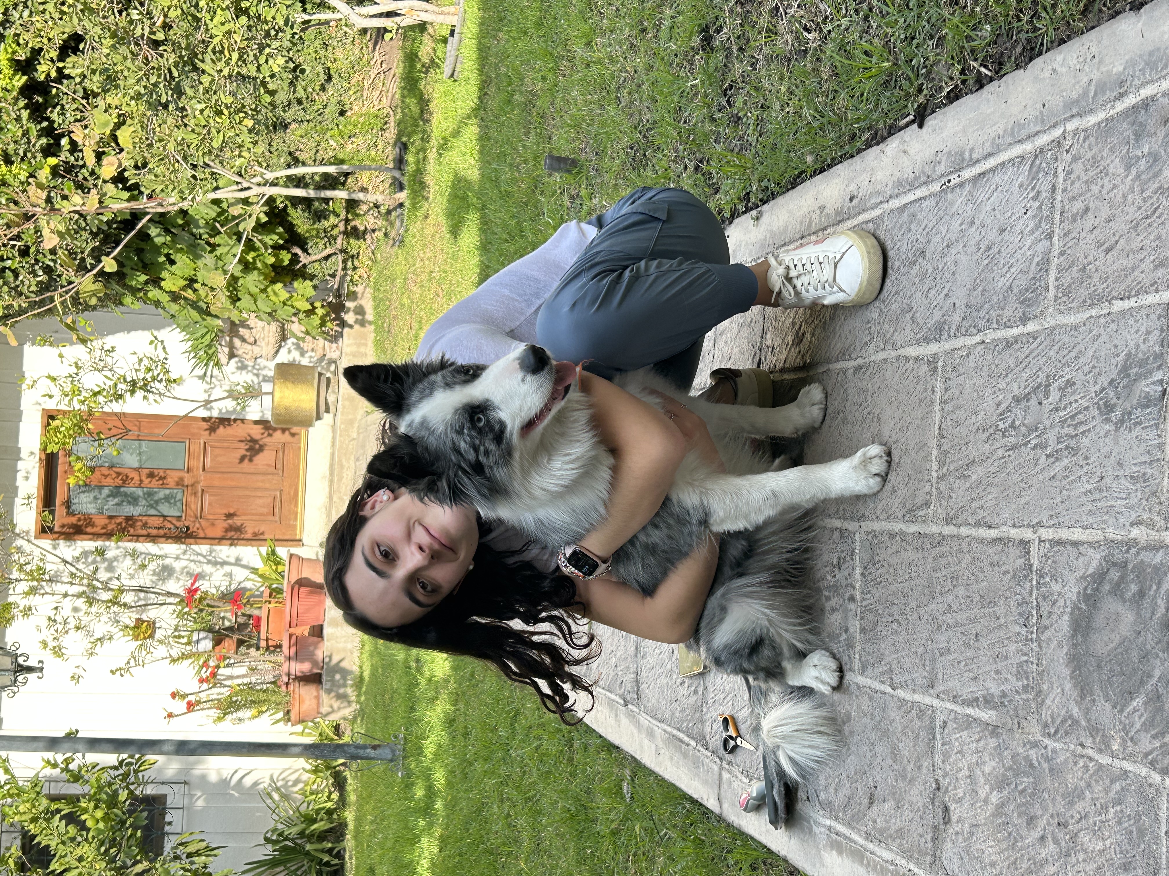 image-11