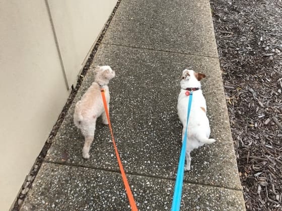 image-45