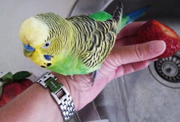 image-8