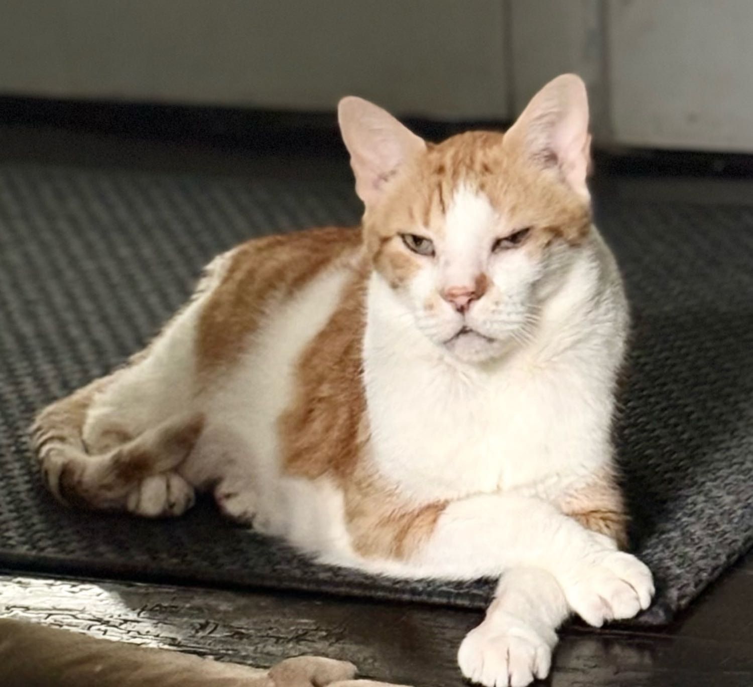 image-3