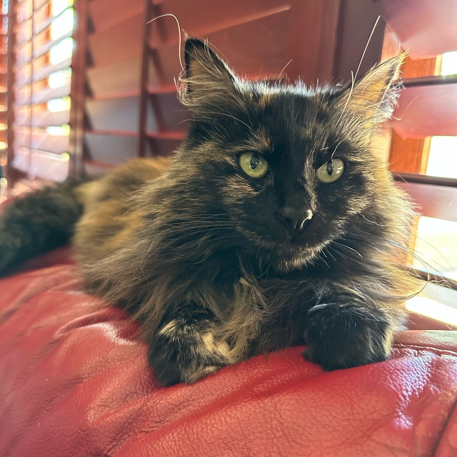 Persia