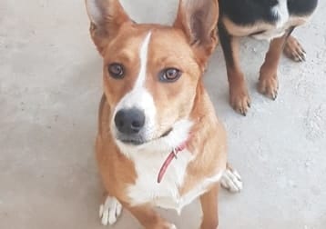 Ruby