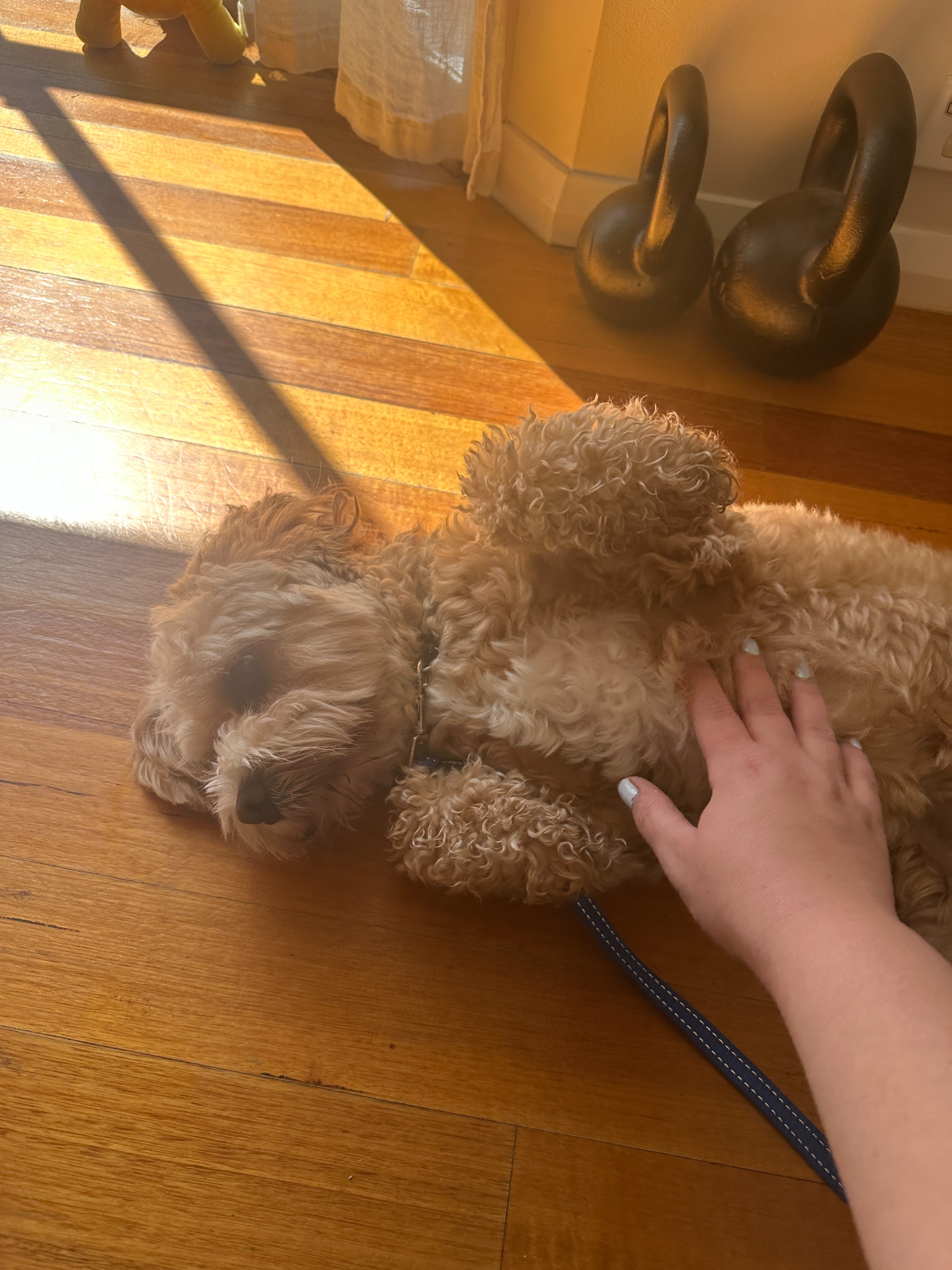 image-8