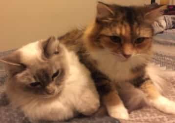 Dusty And Little One