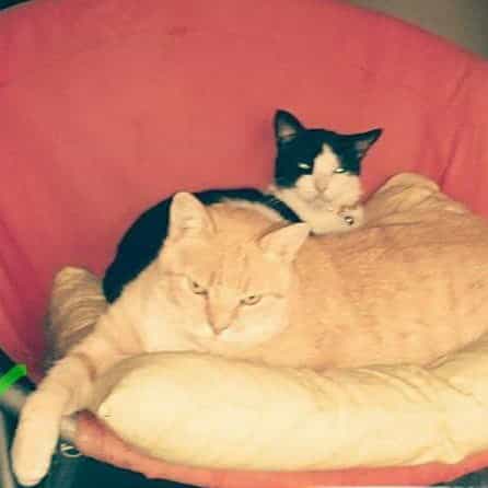 Cinde And Garfield Rip Bros