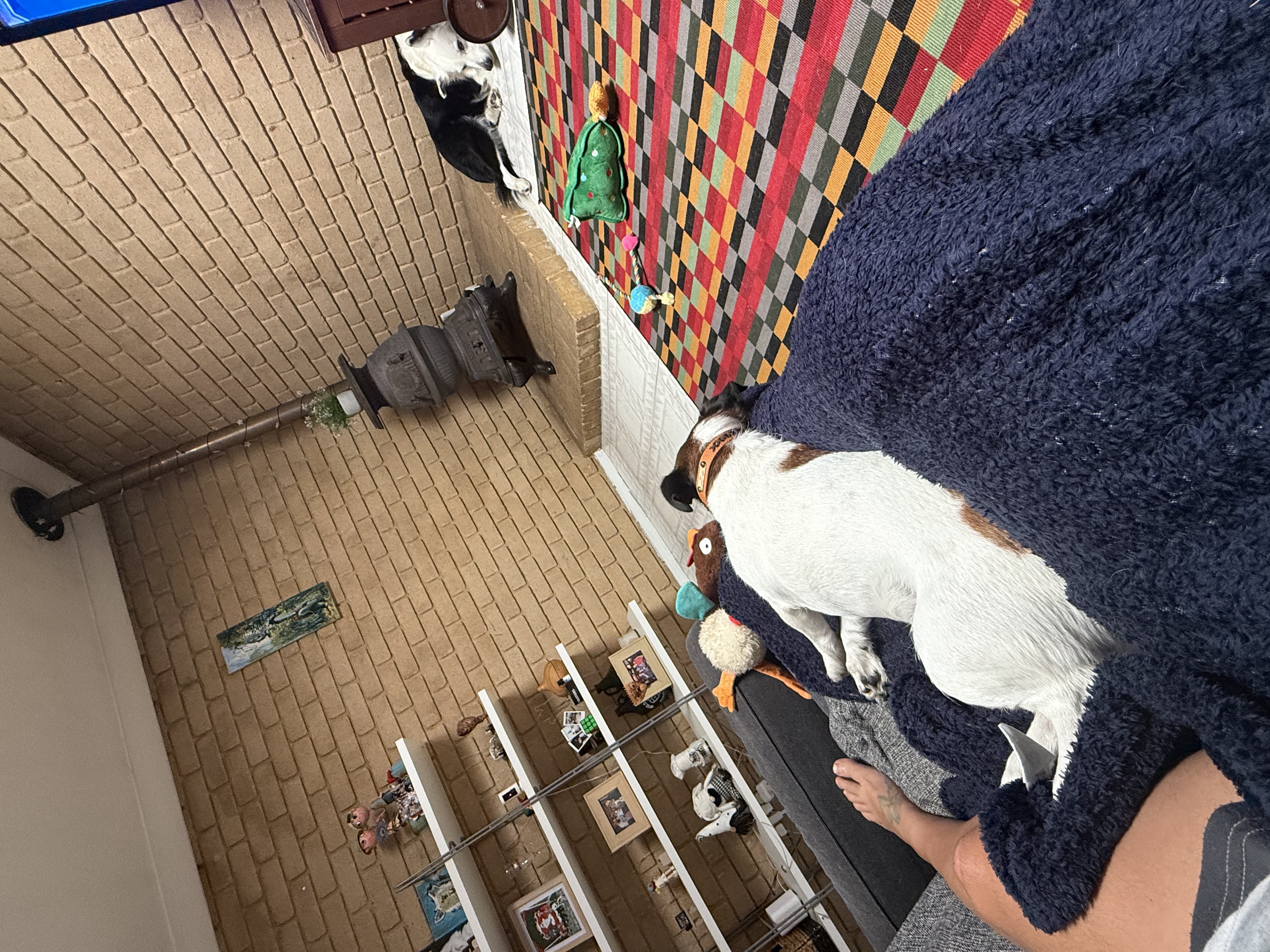 image-43