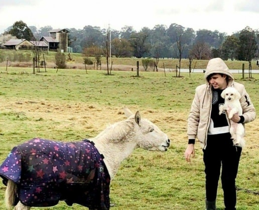 image-1