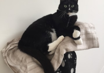 Billy