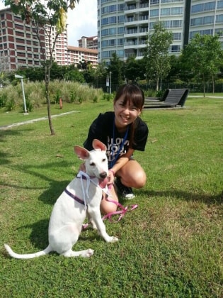 image-5